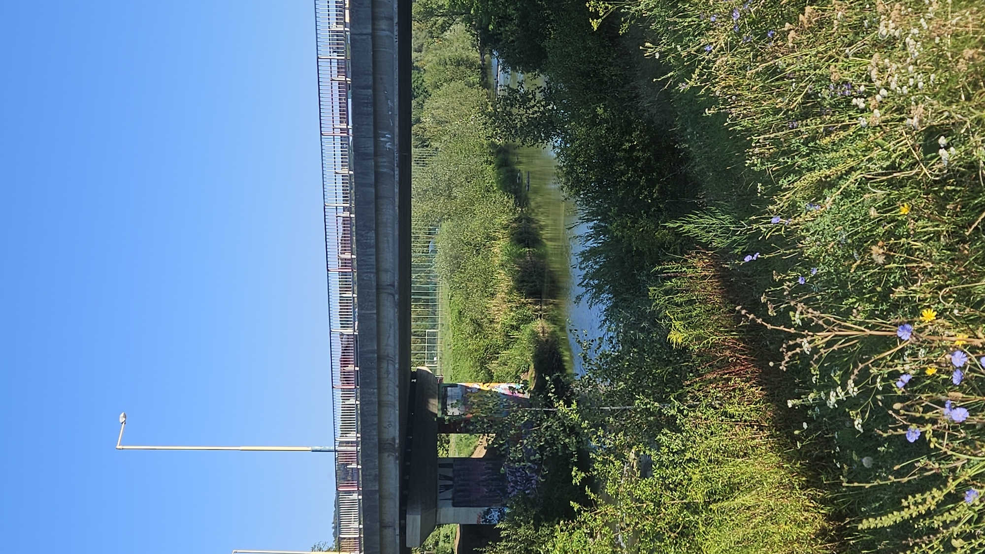 The image depicts a concrete bridge spanning a calm river, likely the Torysa River, in Prešov, Slovakia. The bridge has a railing with white and red elements and is supported by concrete pillars. The pillars under the bridge are adorned with graffiti. The riverbanks are densely vegetated with lush green bushes and tall grasses, with some wildflowers visible in the foreground. A lamppost stands on the left side of the bridge. The sky is clear and blue, indicating fair weather. The scene is peaceful and appears to be a natural setting within or on the outskirts of the city.