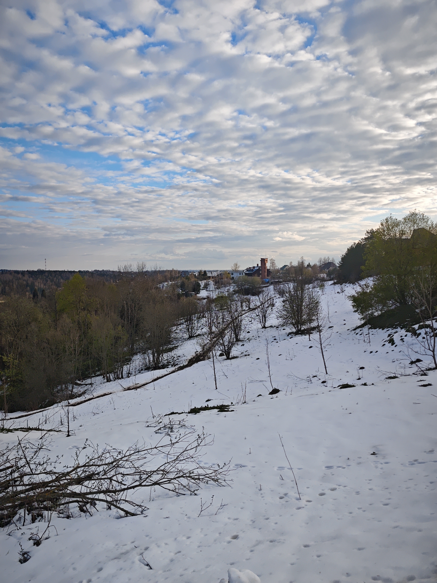 The image depicts a winter scene in what appears to be a rural area, potentially near Ильинское, Russia. The foreground is dominated by a snow-covered slope with sparse vegetation, including bare tree branches and small shrubs. A fallen tree branch lies prominently in the lower left. In the midground, the snow-covered landscape continues, interspersed with more dense patches of trees and a few buildings. A red brick tower stands out among the structures. The background shows a distant treeline. The sky is overcast with a mix of white and grey clouds, with patches of blue visible. The lighting suggests it is either early morning or late afternoon. There are no people visible in the image.