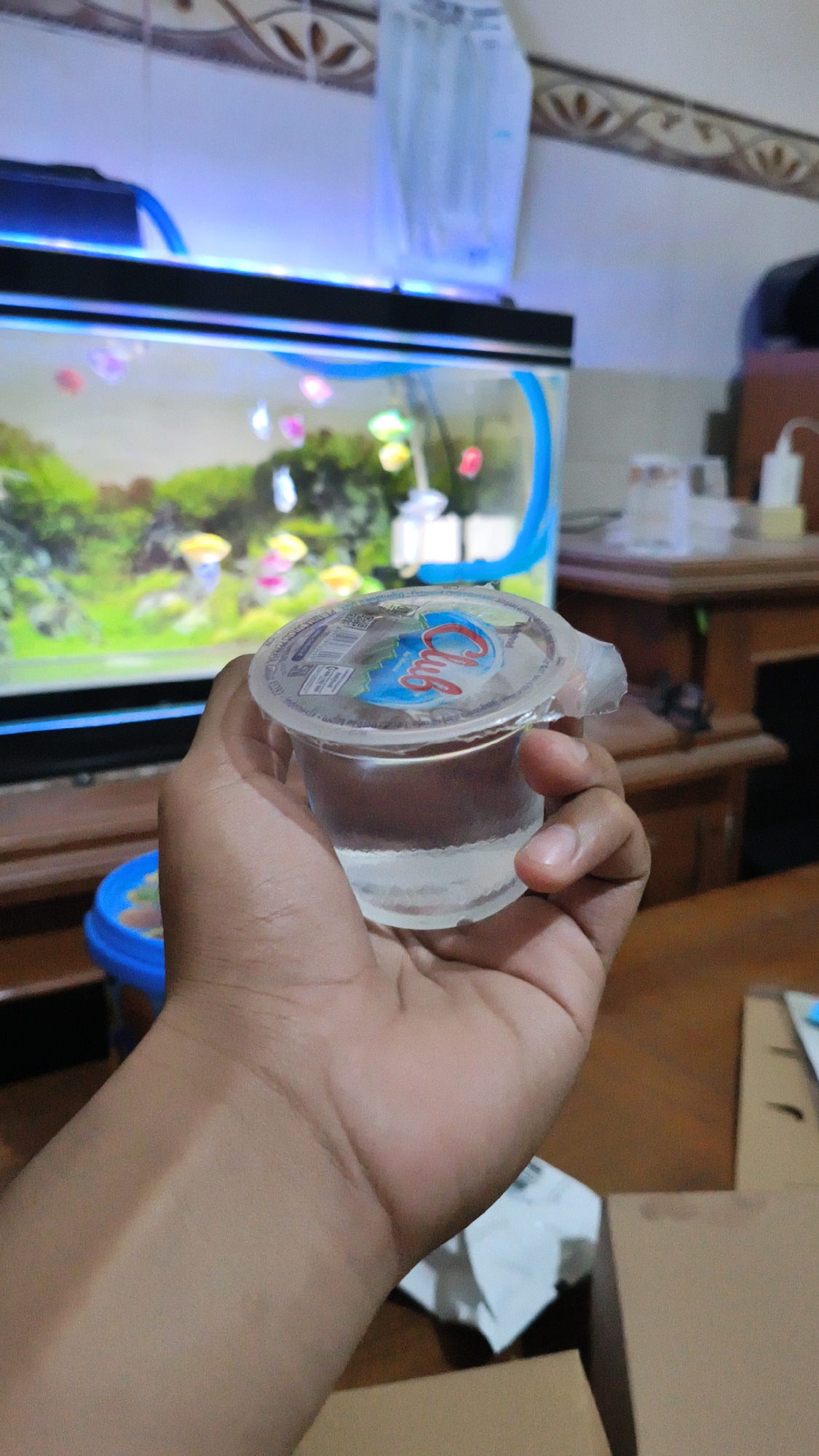 A hand holds a small plastic cup of clear liquid. The cup has a partially peeled-back foil lid with a blue and white logo that reads "Club." In the background, an illuminated aquarium contains several small, colorful fish swimming among green aquatic plants. The aquarium is situated on a wooden stand. To the right of the aquarium, a wooden table with various items, including what appears to be a white charger, is visible. A blue and yellow plastic container is partially visible in the lower left corner. The overall setting suggests an indoor environment, possibly a home.