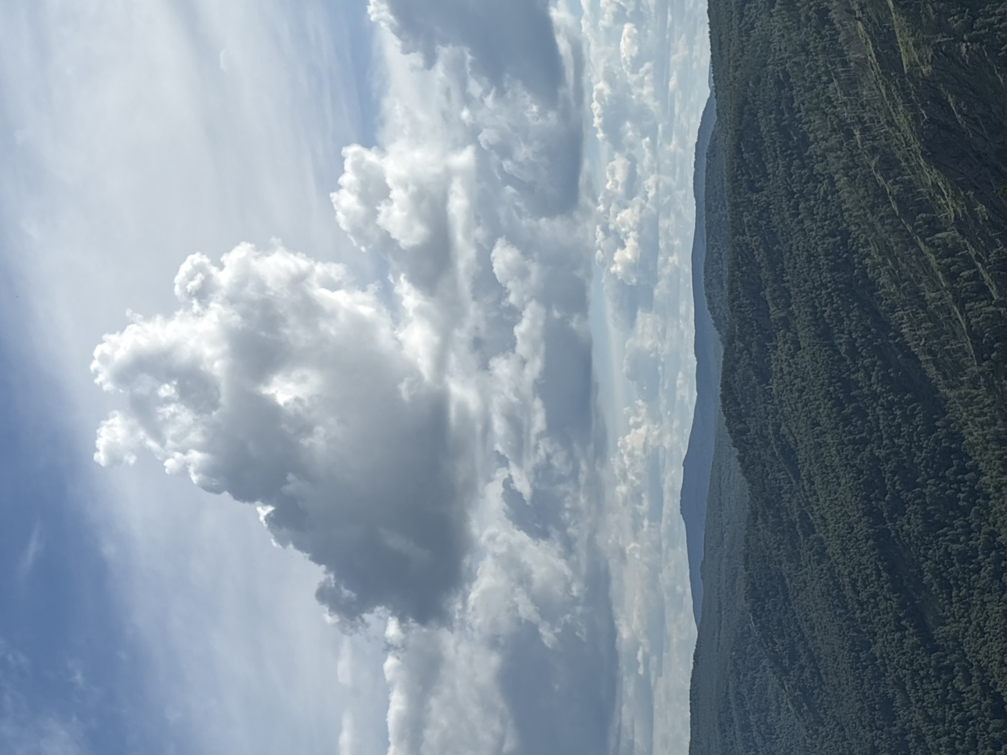 A wide-angle shot shows a panoramic view of lush green, forested mountains under a dramatic sky filled with white, puffy clouds. The foreground is dominated by the densely packed trees that cover the undulating slopes of the mountains. The middle ground features a series of mountain ranges receding into the distance, each layer of peaks slightly hazier than the last, suggesting depth. The sky above is a canvas of blue with large, billowy cumulus clouds, some catching the sunlight and appearing bright white, while others are shaded and darker gray, indicating varying weather conditions. The overall impression is one of natural grandeur and rugged wilderness.