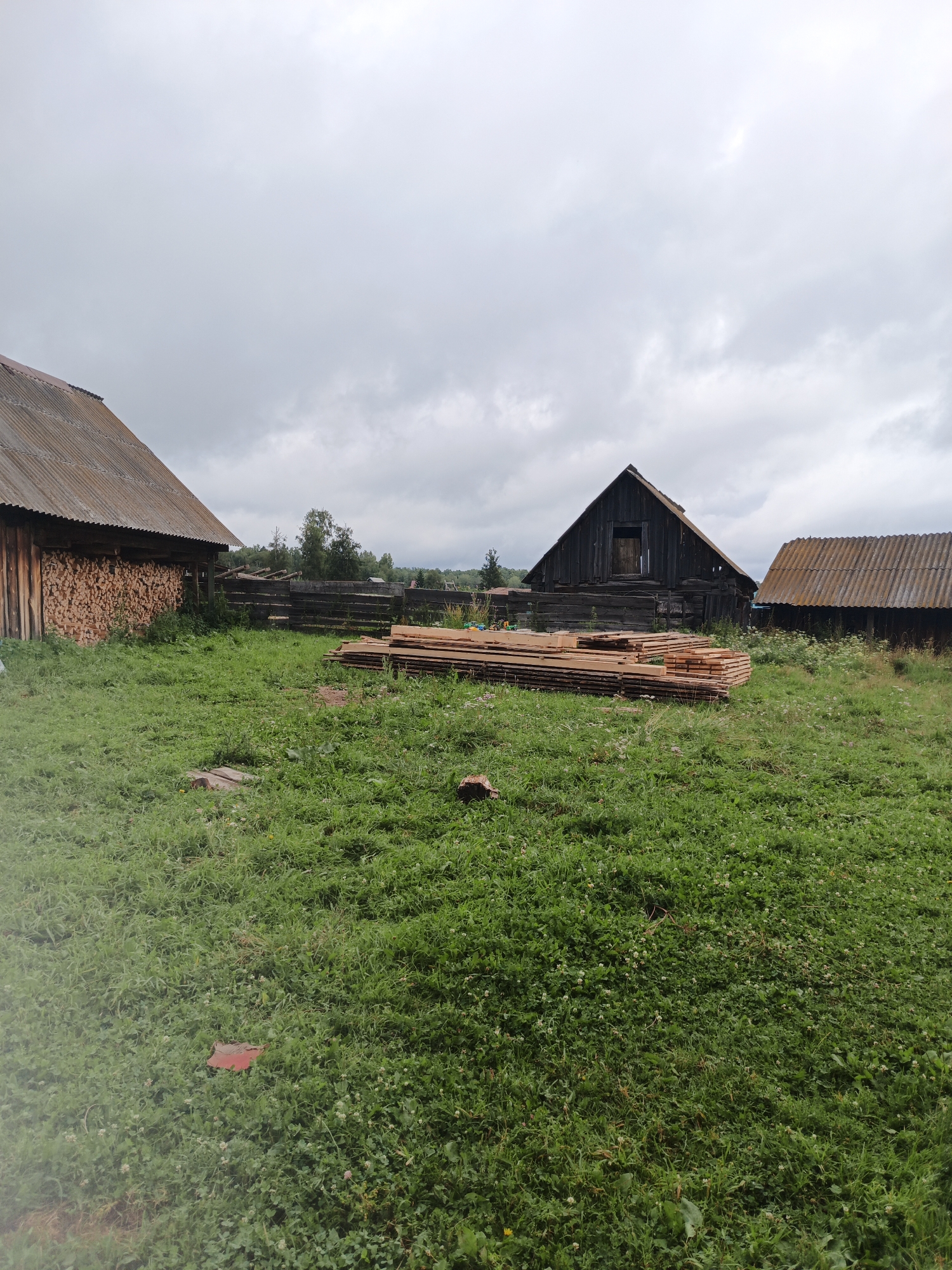 In Islambaevo, Russia, an overcast sky looms over a rustic scene. A weathered wooden building with a corrugated metal roof stands to the left, its side stacked with neatly piled firewood. To the right, a dark wooden structure with a steeply pitched roof and an open doorway is visible, accompanied by another building with a similar corrugated roof further back. In the foreground, a stack of lumber lies on the grass. The ground is covered in lush green grass, interspersed with small white flowers and clover. A wooden plank rests on the ground in the lower left quadrant, and another piece of wood is visible on the right. The overall impression is one of a rural, possibly abandoned or under-construction, property.