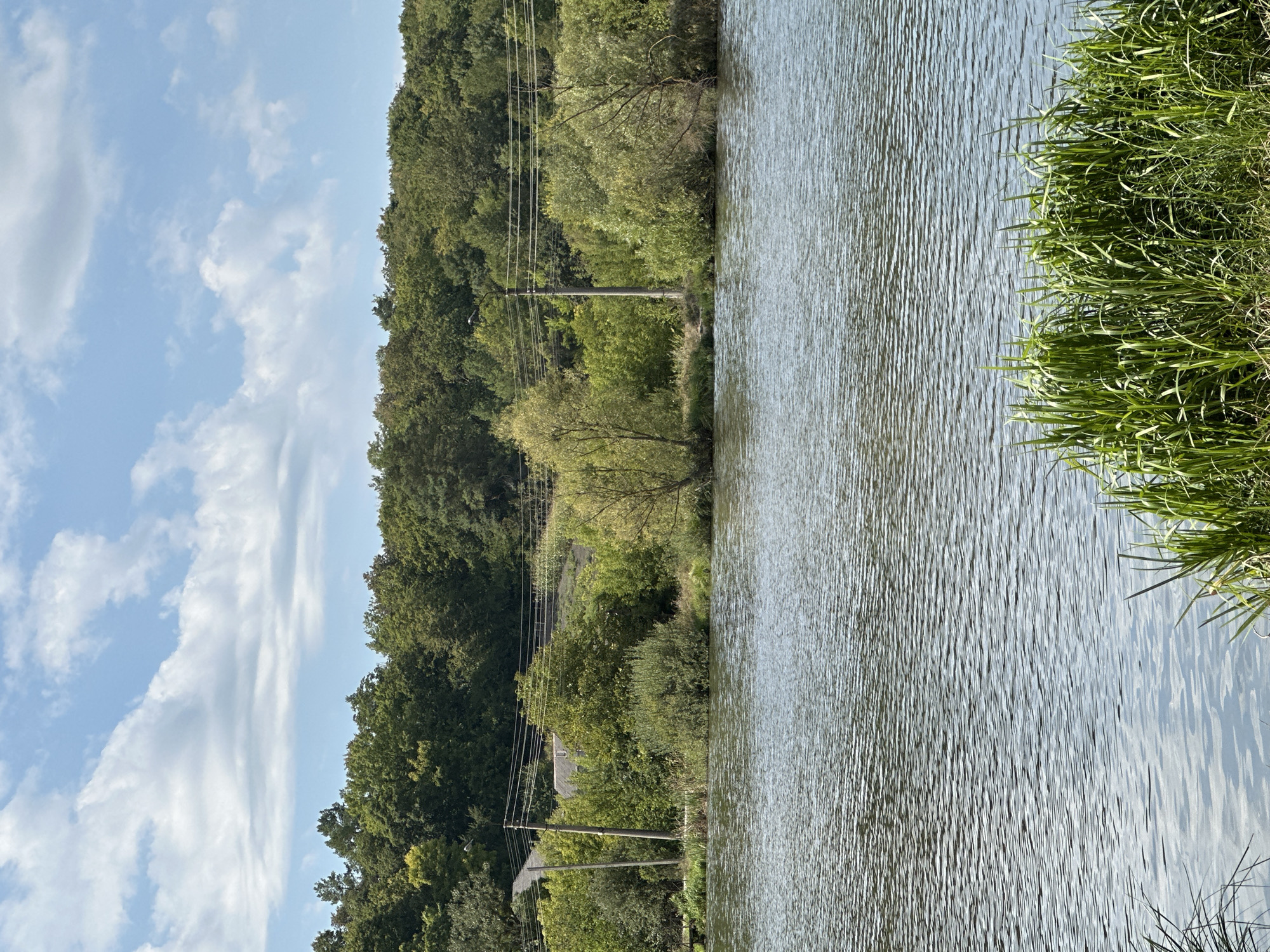 The image depicts a scenic view of a body of water with vegetation and a treeline in the background. The water is calm with ripples, reflecting the sky. Along the edge of the water, there is dense green grass. Beyond the water, a slope is covered with trees of various shades of green. In the middle ground, there is a line of trees and bushes, with power lines and poles visible. A road can be seen winding up the hill behind the trees on the left side of the image. The sky is blue with scattered white clouds. The scene appears to be a natural landscape, possibly a park or a rural area. It is not possible to determine the specific location within Makiv, Ukraine from the visual information provided.