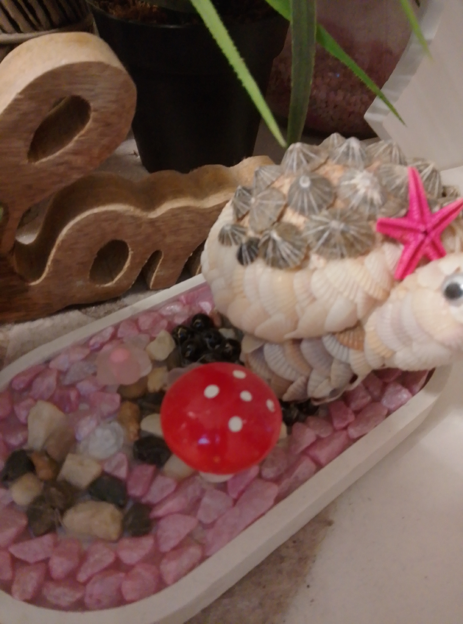 A whimsical seashell fish ornament sits in a shallow white tray filled with pink and beige pebbles. The fish, made from various seashells, has a prominent pink starfish atop its head and a single googly eye. A small, red mushroom with white polka dots is nestled amongst the pebbles in the foreground. Behind the tray, a black pot with a green plant and a carved wooden decoration are visible. The scene is indoors, likely on a shelf or table, in an unspecified location.