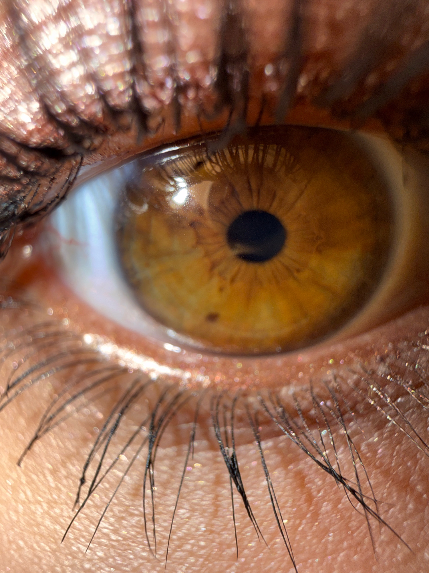 This is a close-up, macro photograph of a human eye. The eye is open, with a prominent iris that is a warm, golden-brown color with darker speckles and radiating lines. The pupil is a deep black circle in the center of the iris. The eyelashes, both upper and lower, are dark and distinctly visible, framing the eye. There appears to be shimmer or glitter from makeup on the eyelids, catching the light and creating small, bokeh-like highlights. The skin of the eyelid and surrounding area is textured and illuminated, showing pores and fine lines. The overall impression is one of intricate detail and the play of light on the surface of the eye and skin. The location in Votkinsk, Russia is not discernible from the image.