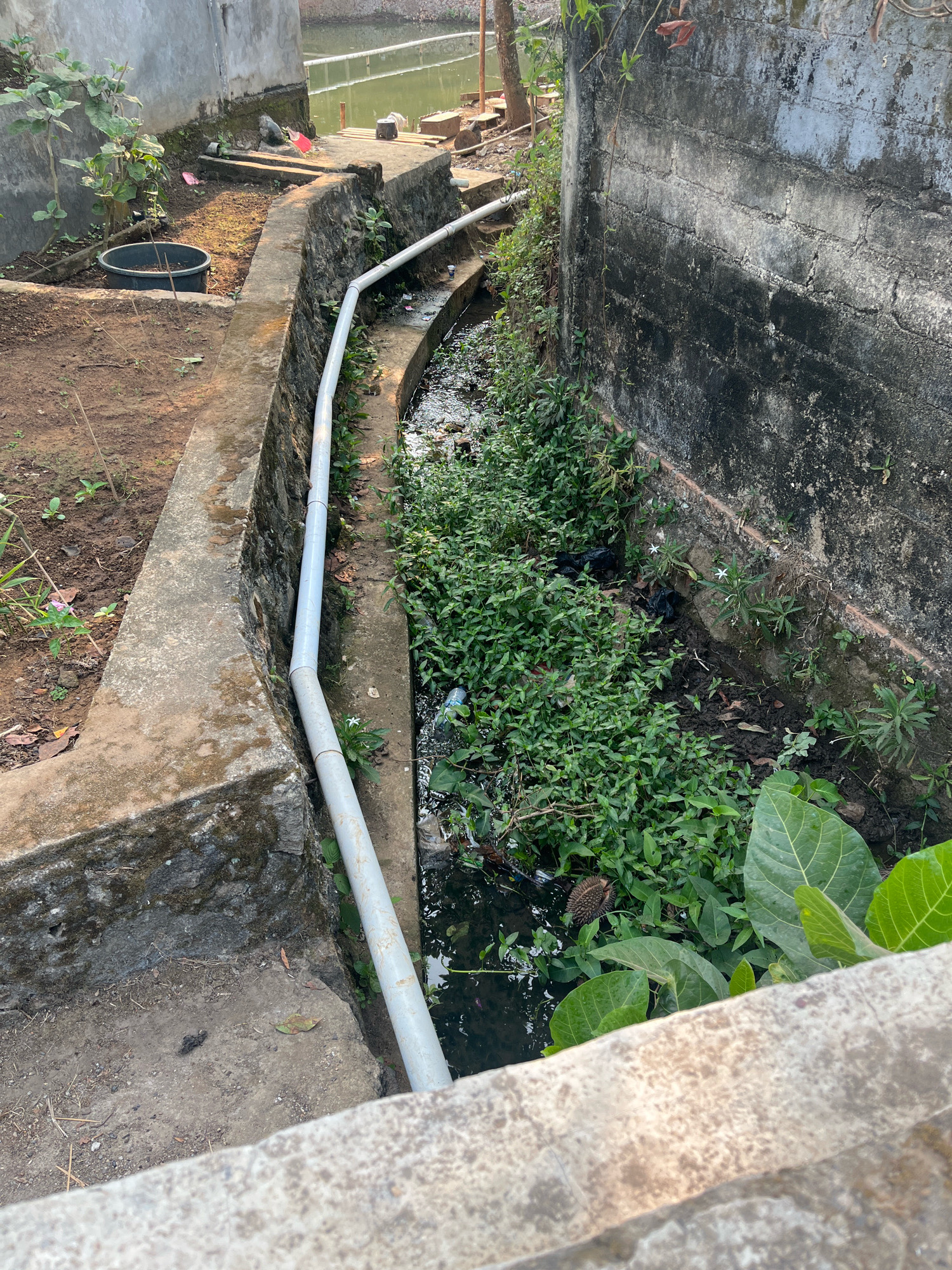 The image depicts a narrow, overgrown drainage ditch or canal running alongside a weathered, concrete-block wall. The ditch contains murky water and is choked with dense green vegetation, including some large-leafed plants. There is evidence of debris, including black plastic bags and what appears to be a spiky seed pod or fruit, scattered within the ditch. A white pipe runs along the edge of the ditch, curving with the terrain. To the left of the ditch is a sloped, dirt embankment with some sparse vegetation and a dark-colored planter. The background shows a body of water, possibly a pond or slow-moving river, with a wooden platform. The overall impression is one of an unkempt, outdoor environment in a possibly semi-urban or rural setting within Margodadi, Indonesia. No people are visible in the image.