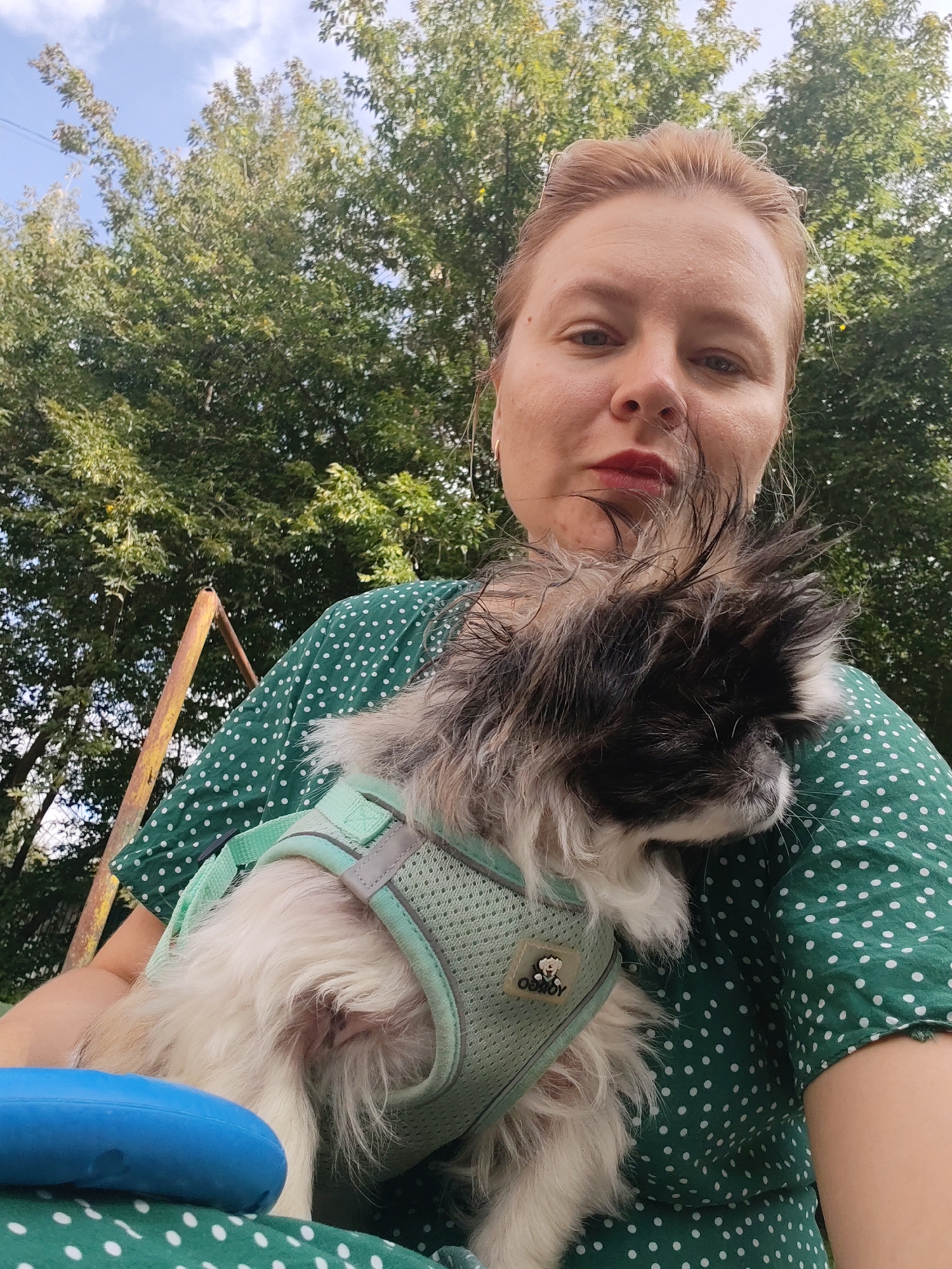 A woman with blonde hair pulled back is holding a small dog with black and white fur. She is wearing a green polka dot dress. The dog is wearing a mint green harness. In the background, there are green trees and a blue sky. A yellow metal structure, possibly part of a swing set or playground equipment, is visible to the left of the woman. A blue object, possibly a toy, is visible in the lower left corner of the image. The image was taken outdoors in Izhevsk, Russia, during daylight.
