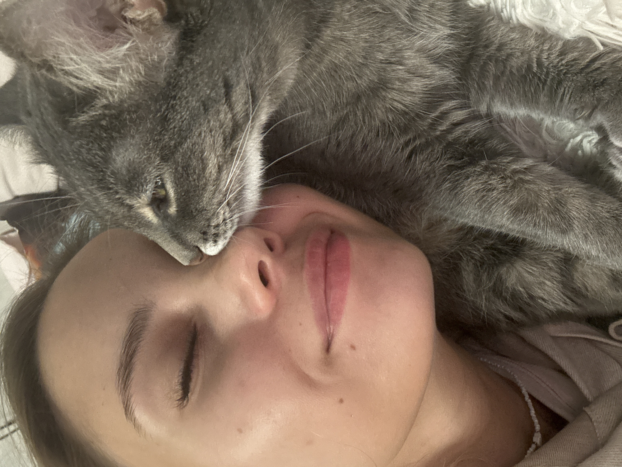 The media file is a close-up, eye-level shot featuring a person and a gray cat. The person is lying down, with their eyes closed, appearing relaxed and peaceful. The cat is nuzzled against the person's face, specifically touching their nose with its own, and its head is resting on the person's cheek. The scene is intimate and suggests a moment of affection and connection between the two subjects. The lighting is soft, and the overall mood is one of warmth and comfort. There is no visible text in the image. The setting appears to be indoors, possibly a bedroom, given the soft lighting and the presence of bedding. The location context is Chaikovsky, Russia.