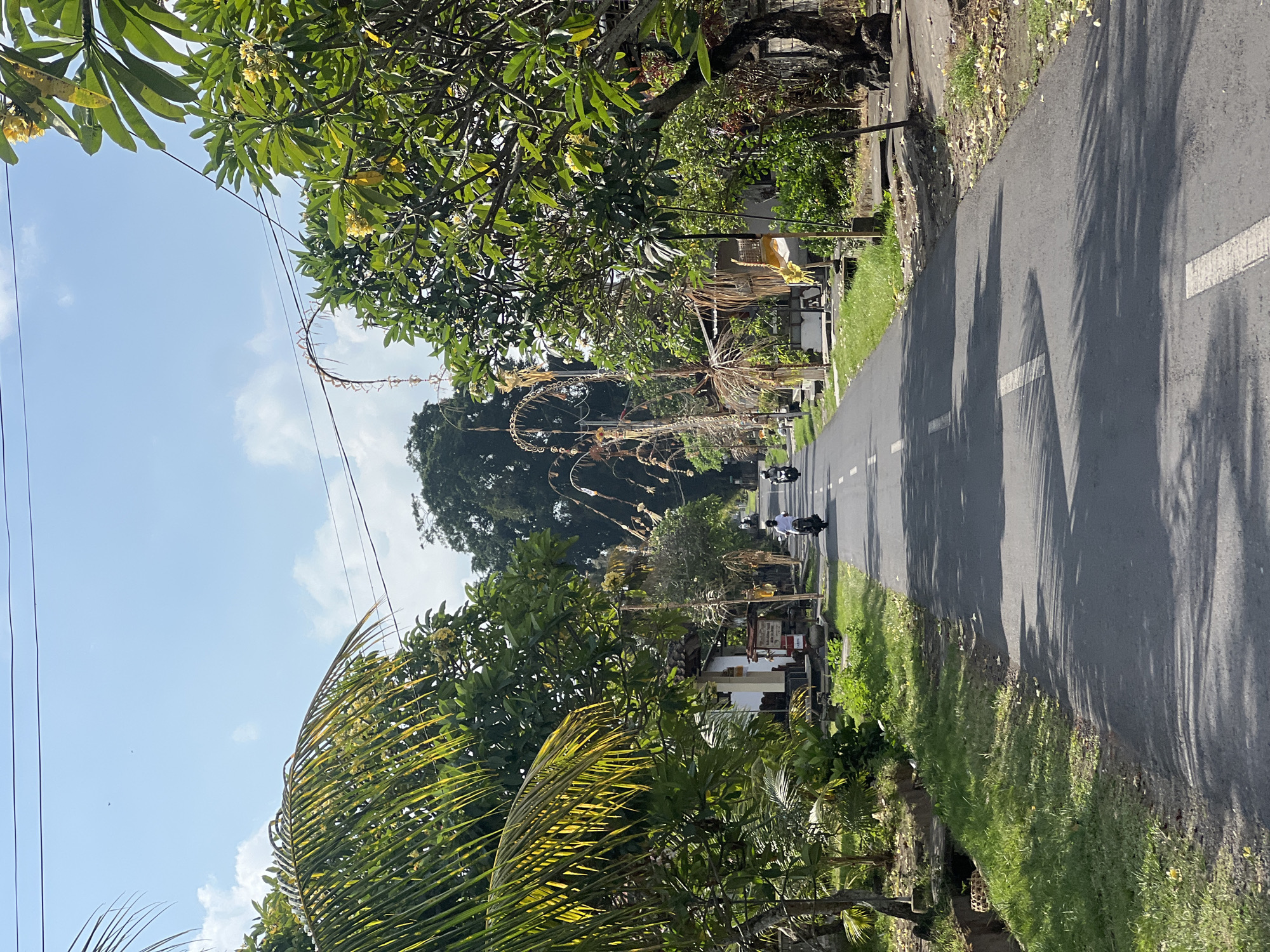 The image depicts a street scene in Sukawati, Indonesia, under a clear blue sky with scattered clouds. The time of day appears to be late morning or early afternoon, suggested by the angle of the shadows cast by the trees onto the asphalt road. The road itself has a white line marking the center.
The scene is lined with lush green vegetation, including palm trees and other tropical foliage. Ornate, tall decorative structures, likely made of woven natural materials like palm leaves and bamboo, are prominent along the side of the road. These structures, which appear to be part of a cultural celebration or festival, are intricately designed and reach high into the air, some curving dramatically.
Several people are visible, all riding motorbikes. They are moving along the road, suggesting a daily commute or participation in the event. The overall atmosphere seems peaceful and vibrant, typical of a sunny day in a tropical locale with local traditions being observed. The presence of power lines overhead indicates the area is inhabited and has infrastructure. There is a small building visible on the right side of the road with some signage, but the text is not legible. The environment is a mix of natural beauty and cultural expression.