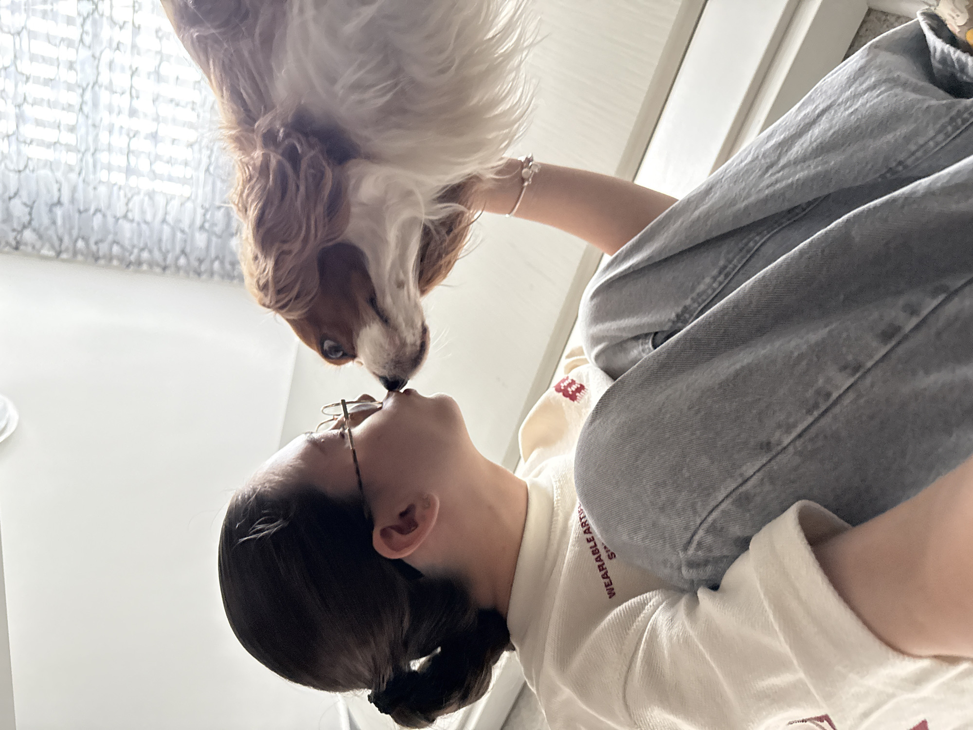 An outdoor, eye-level, medium shot captures a person in a white long-sleeved shirt and grey jeans kneeling down, kissing the nose of a Cavalier King Charles Spaniel. The person's hair is pulled back in a ponytail, and they are wearing glasses. The dog, with brown and white fur, looks up at the person. A bracelet is visible on the person's left wrist. The background is blurred, suggesting an indoor setting with a window and curtains. The lighting is bright, casting soft shadows. The image depicts an affectionate moment between a person and their dog.