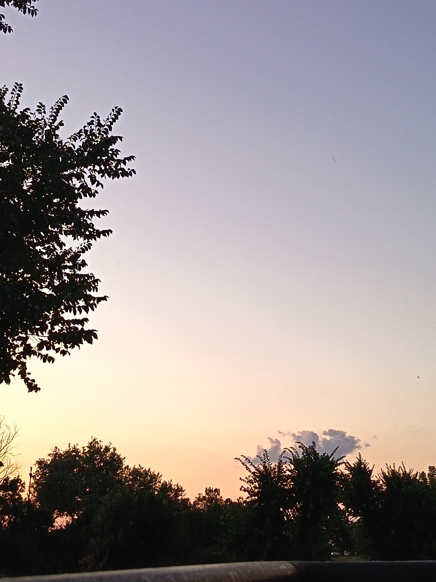 A photograph captures a silhouetted treeline against a dusky sky. The sky transitions from a pale lavender at the top to a warm peach and yellow hue near the horizon. Several trees, dark and leafy, form a dense band across the lower portion of the frame, with some branches extending upwards towards the sky. A few small, wispy clouds are visible, one a muted purple and another a lighter gray. In the upper left, the silhouette of a tree's branches and leaves is prominent, its dark mass contrasting with the lighter sky. A faint streak, possibly a distant contrail or a bird in flight, is present in the upper right quadrant of the sky. The scene appears to be taken from a slightly elevated perspective, with a dark, blurred horizontal line suggestive of a railing or ledge in the foreground. There are no people or animals clearly visible in the image, though a tiny dark shape in the lower right might be a bird. The overall impression is of a peaceful, natural setting at dusk, likely on the outskirts or within a park area of Yambol, Bulgaria, given the provided context.
