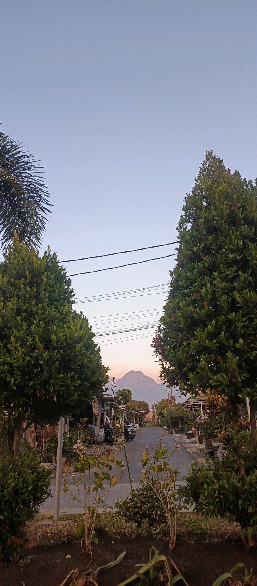 The image depicts a residential street in Batu, Indonesia, likely in the late afternoon or early evening, with a mountain range visible in the distance. The sky is a pale blue, transitioning to a soft orange hue near the horizon, suggesting the setting sun.
In the foreground, on the left and right sides of the street, are two mature, well-maintained trees with dense green foliage. The tree on the left appears to be a palm tree with long, slender fronds. The tree on the right is a broader, bushier evergreen. Between these trees, a narrow asphalt road stretches into the distance, lined with houses and vegetation.
Several motorcycles are parked along the side of the road, indicating local transportation. The houses appear to be modest, with some displaying clotheslines or stored items outside. Small plants and gardens are visible in front of some properties, adding to the suburban feel.
Electrical wires are strung across the upper portion of the image, a common sight in many urban and semi-urban areas. The overall atmosphere is peaceful and serene, capturing a typical residential scene in a Southeast Asian city. The presence of the mountain in the background adds a scenic element, suggesting that the city is situated in a mountainous region. There are no people clearly visible in the image, allowing for a focus on the environment and its inhabitants' possessions.