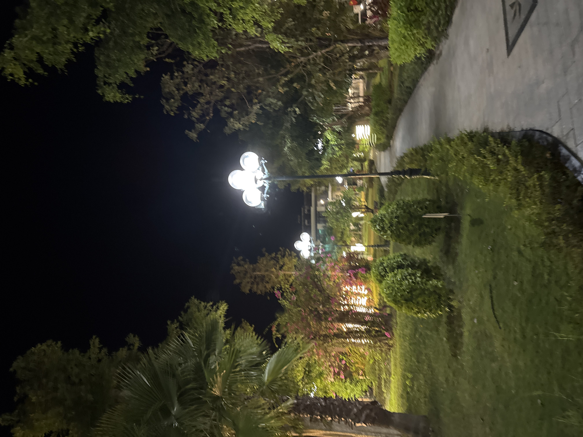 The image depicts a park at night in Unknown, Unknown. The scene is illuminated by a combination of street lights and building lights. A paved pathway winds through the park, bordered by manicured hedges and bushes. Several trees are visible, some with leafy canopies and others that appear to be palm trees. The dark sky is partially obscured by tree branches.