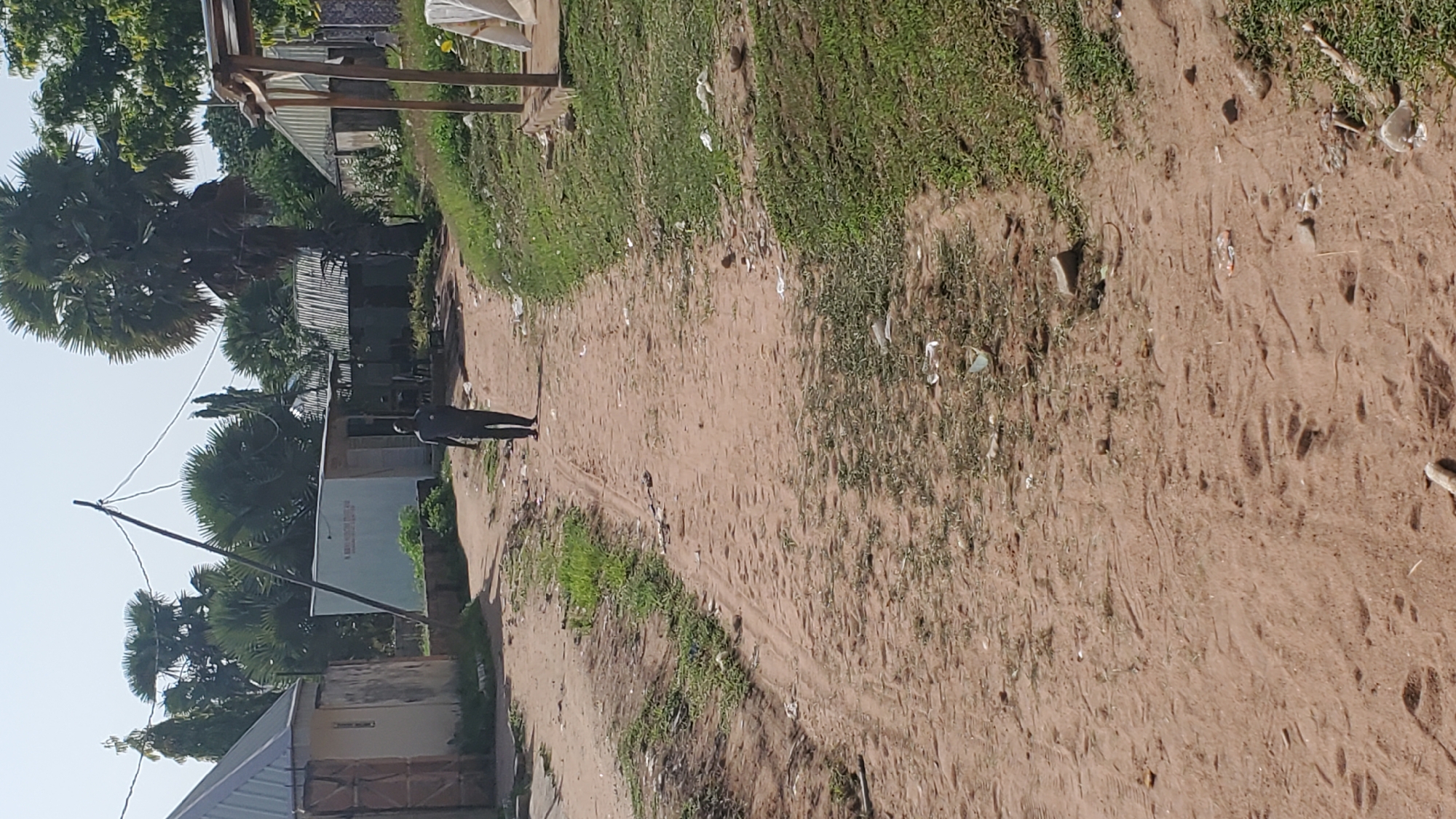 A man walks down a dirt road in Jalingo, Nigeria. The road is lined with houses and trees. The sky is clear and blue. The man is wearing a dark shirt and pants. He is walking away from the camera. The houses are made of concrete and corrugated iron. The trees are palm trees and other tropical vegetation. There is some trash on the side of the road.