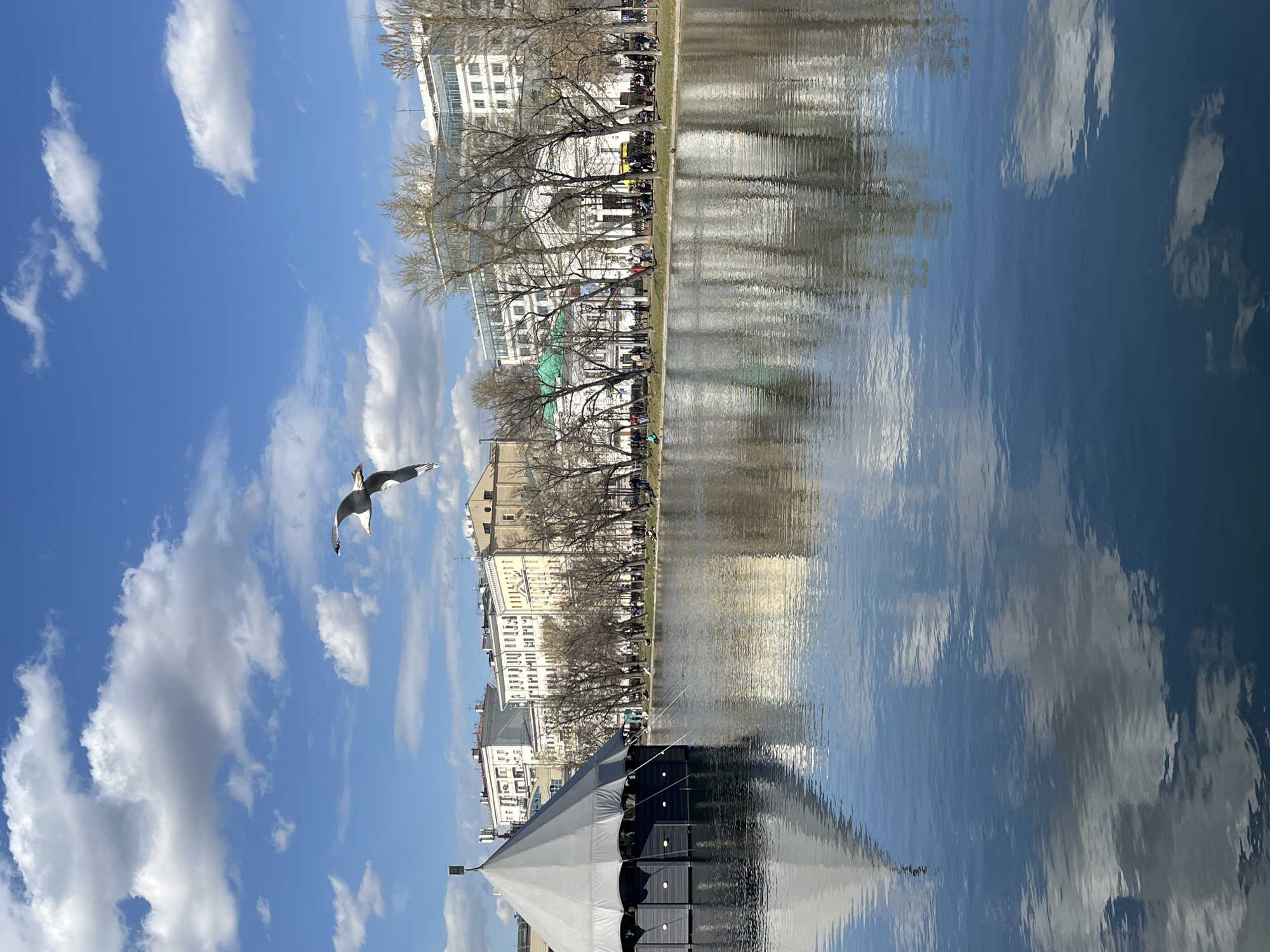 The image captures a scene in Moscow, Russia, likely near the Patriarch's Ponds. The lower portion of the frame is dominated by a body of water reflecting the sky and the architecture along its bank. The reflection shows puffy white clouds against a blue sky. In the distance, the edges of buildings are visible along the water's edge, interspersed with bare trees. A single bird is flying in the sky above the lake, a common sight in urban water environments. A structure, possibly a temporary stage or event setup, is located in the lower right corner of the frame. People can be seen sitting or walking along the bank of the lake.