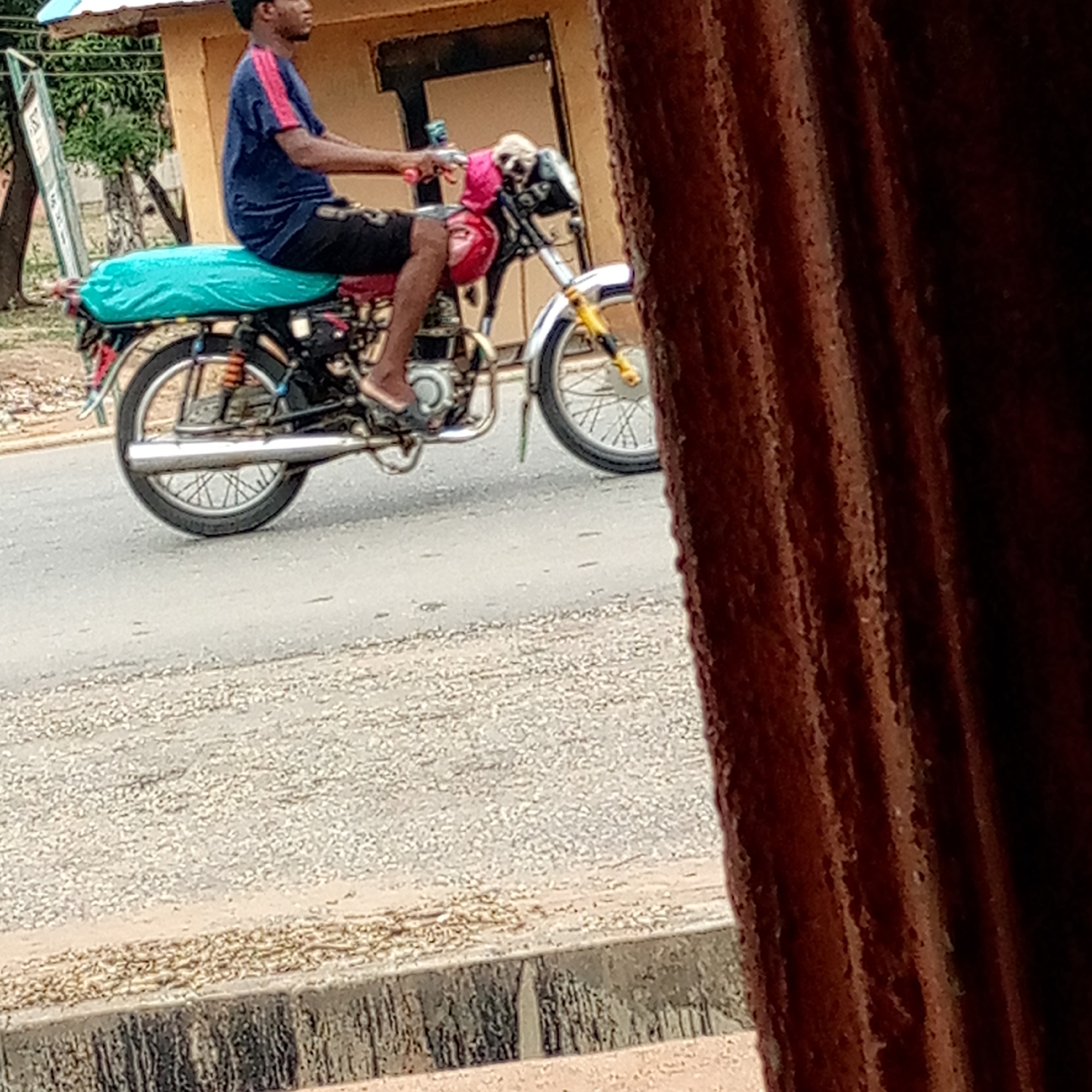 A man is depicted riding a motorcycle on a paved road during the daytime. He wears a dark blue t-shirt with red stripes on the sleeves, dark shorts, and light-colored sandals, and is looking straight ahead.
The motorcycle has a red frame, a silver exhaust pipe, and spoked wheels with yellow front suspension components and a white front fender. A light blue-green material, possibly a seat cover or cargo, is draped over the rear portion of the seat. A pink fabric item is visible on the handlebars. Attached to the rear of the motorcycle is a tall, narrow, light-colored object that appears to have some faint, indecipherable markings.
The road is paved and scattered with small pieces of gravel or debris, and a concrete curb is visible in the foreground. In the background, there is a light-colored building with a dark entrance or window, flanked by green foliage and trees. The scene is partially framed on the right by a prominent vertical structure, possibly corrugated metal, with a reddish-brown, textured surface. The lighting suggests it is daytime, possibly under an overcast sky, as there are no harsh shadows.