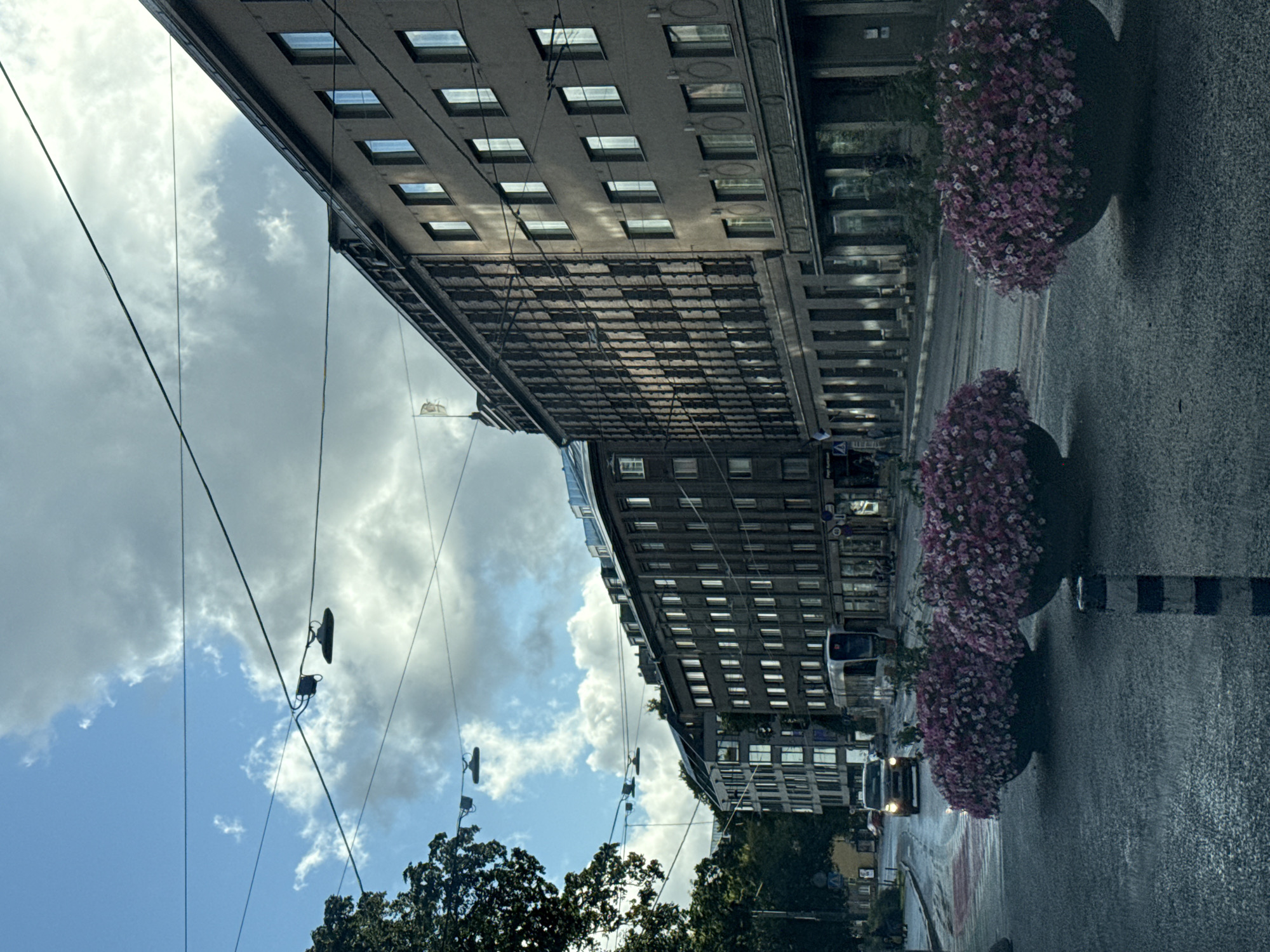 The image depicts a street scene in Tallinn, Estonia, with several large, dark buildings lining the right side of the road. These buildings appear to be multi-story structures with numerous windows. In the foreground, two large, dark planters overflow with vibrant pink flowers. The street itself is wet, suggesting recent rain, and a tram or light rail vehicle is visible in the middle ground, moving away from the viewer. A car with illuminated headlights is also on the road. Overhead, power lines crisscross the sky, and a few street lights are visible. The sky is partly cloudy with patches of blue. Trees are visible on the left side of the image. The overall atmosphere is urban and somewhat overcast.