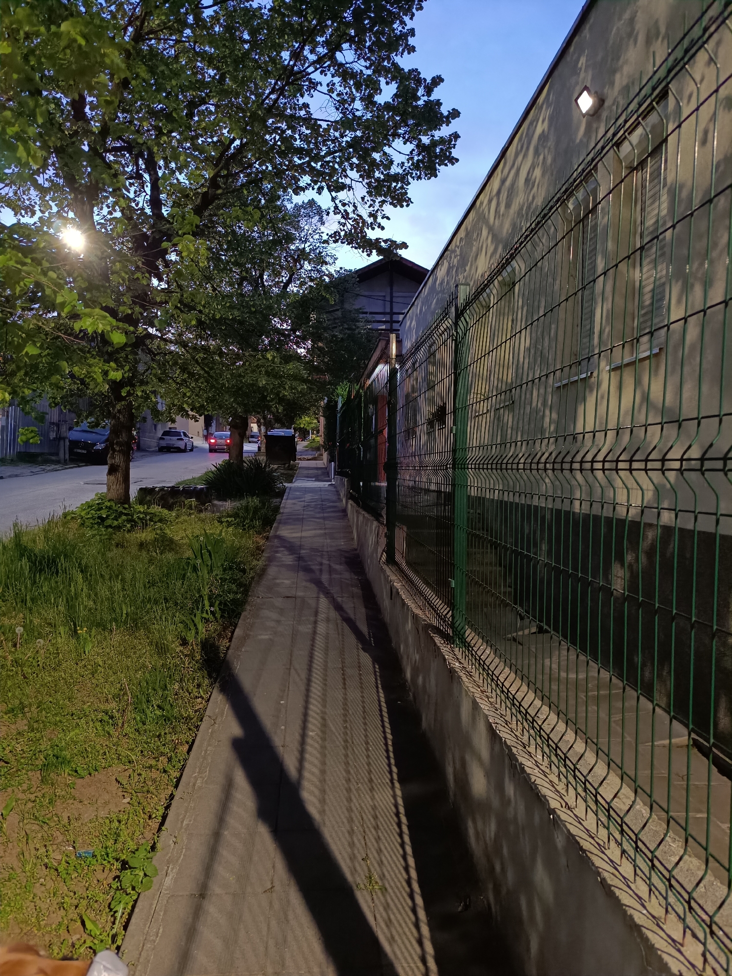An outdoor shot captures a quiet suburban street at what appears to be dusk or early evening, characterized by a deep blue sky transitioning from day to night. The scene is devoid of people, presenting a tranquil atmosphere.
In the foreground, a concrete sidewalk, paved with rectangular slabs, runs alongside a strip of overgrown grass and dirt, with an orange-colored object partially visible in the bottom left, possibly part of a shoe or another item. A vibrant green wire mesh fence with vertical and horizontal elements extends along the right side of the sidewalk, bordering a light-colored building. The fence casts long, distinct shadows across the sidewalk, indicating a low light source.
The street, visible to the left of the sidewalk, is paved and has several cars parked along its length. One white car is seen further down the street, and another car with illuminated red taillights is visible in the distance. Lush green trees line the street and the grassy verge, with one tree prominently featuring a bright light source (possibly a street lamp or the setting sun) shining through its leaves, creating a starburst effect.
The building on the right, light beige or off-white, has a mounted light fixture near its top, which is illuminated, casting light on the wall. A window with visible bars or shutters is also on this wall. The shadows of the trees are cast onto the building wall, adding depth to the scene. The overall impression is one of a peaceful, everyday street at twilight. No discernible text is visible.