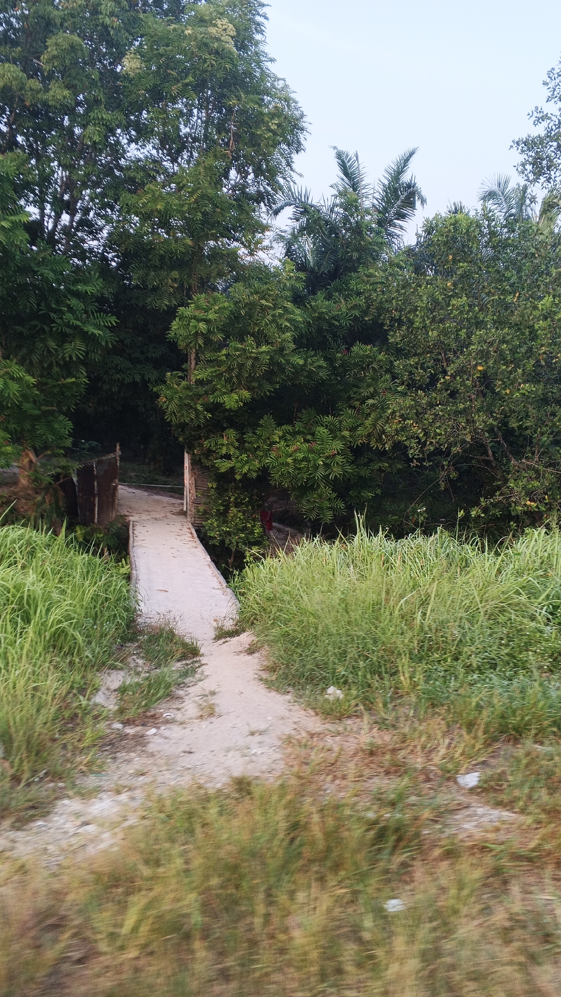 The image shows a dirt path leading to a concrete bridge in Rawang Air Putih, Indonesia. The bridge is surrounded by lush green vegetation, including trees and tall grass. The sky is overcast. There is no discernible action or interaction in the image. The scene appears to be natural and undeveloped.