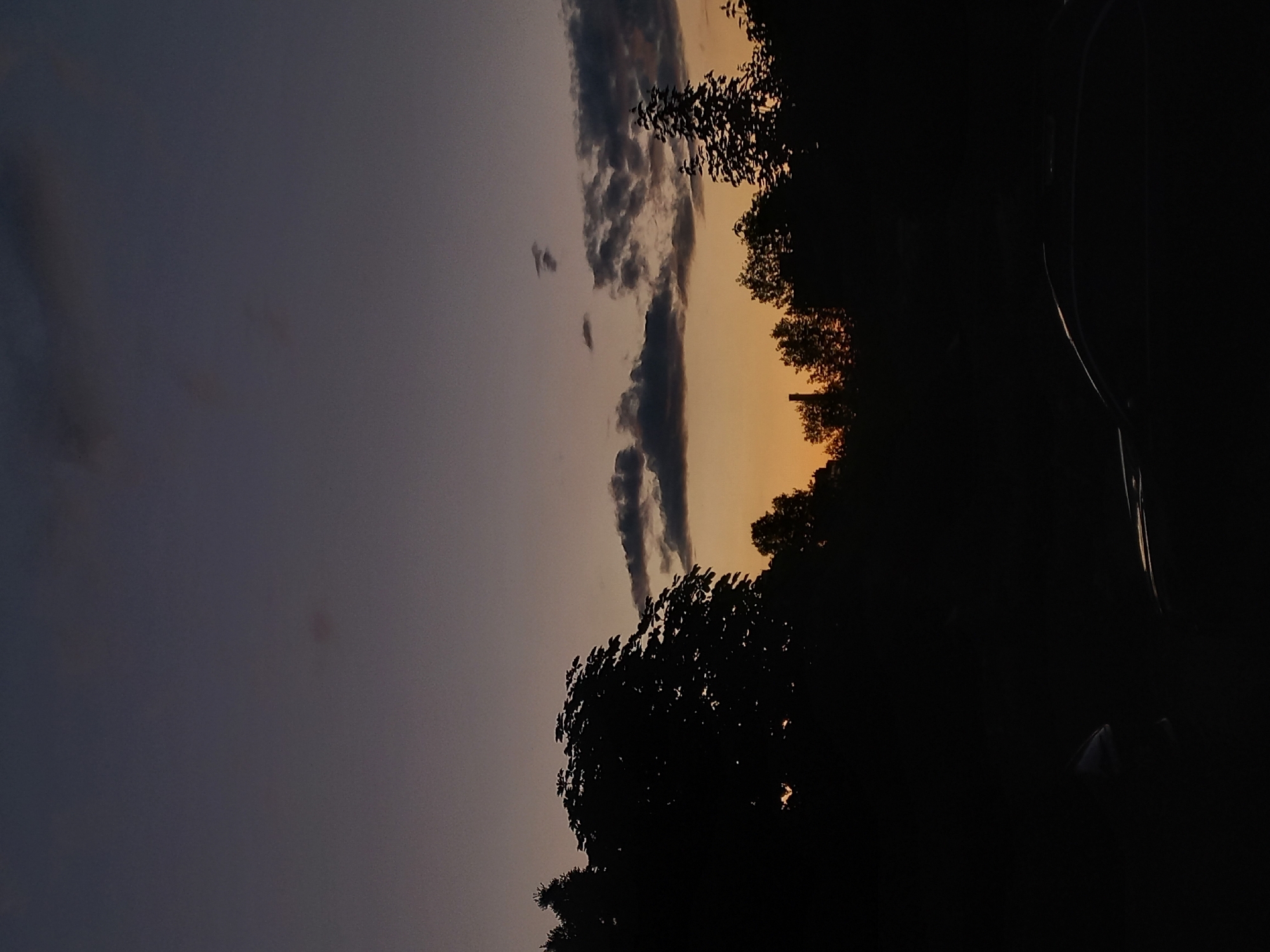 The image depicts a dusky sky over Kyiv, Ukraine, framed by dark silhouettes of trees. A strip of orange light marks the horizon, transitioning to a muted purple-gray sky above. Streaks of dark, elongated clouds run vertically across the middle of the frame. The lower portion of the image is dominated by the dark shapes of foliage, obscuring the ground and suggesting a natural environment, possibly a park or forested area within the city. A thin, curved, light-colored object is visible in the far right corner, possibly a lamp post.