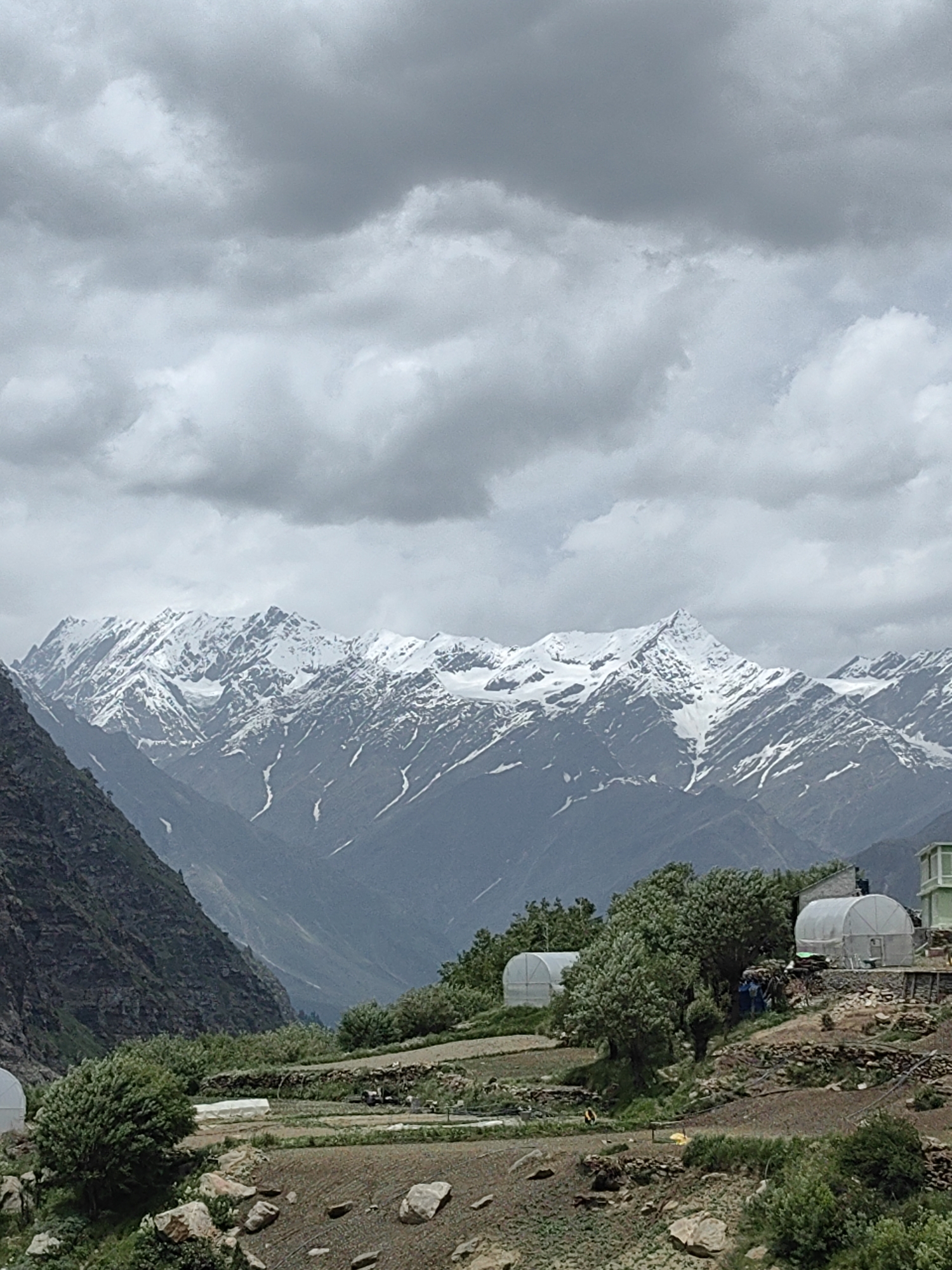 A vertical, eye-level shot captures a valley with snow-capped mountains in the background under a cloudy sky. In the foreground, a rugged terrain with rocks and dry soil is visible, dotted with patches of greenery and a few small, well-maintained agricultural plots. Several greenhouses, resembling white domes, are scattered across the landscape. A steep, dark, rocky mountainside descends from the left. The backdrop is dominated by a range of majestic, snow-covered mountains, their peaks sharp and defined against the gray sky. The overall impression is one of a remote, mountainous region, likely in a rural part of India, given the presence of greenhouses and terraced fields.
