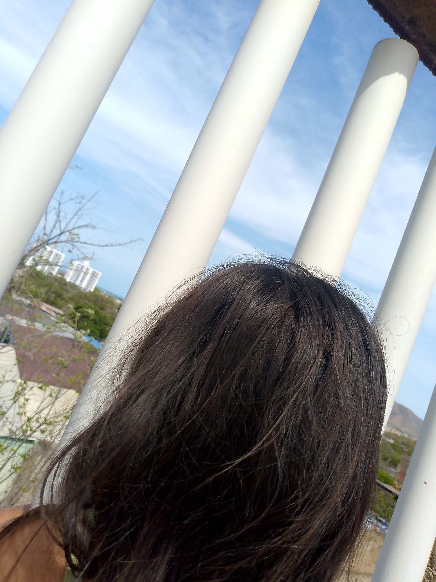 The image presents an elevated view of the city of Juan Griego, Venezuela, observed through four prominent white, vertical cylindrical bars. The back of a person's head, featuring dark, disheveled hair, occupies the lower half and right side of the foreground, suggesting an individual observing the scene. Beyond the bars, a cityscape is visible under a clear blue sky with sparse white clouds. The midground displays various urban rooftops and structures interspersed with trees and shrubs, some with nascent foliage. On the distant horizon, two distinct white multi-story buildings are discernible, and a faint mountain range or large hill is visible towards the far right. The perspective indicates the viewer is positioned above the immediate city level, looking outwards.