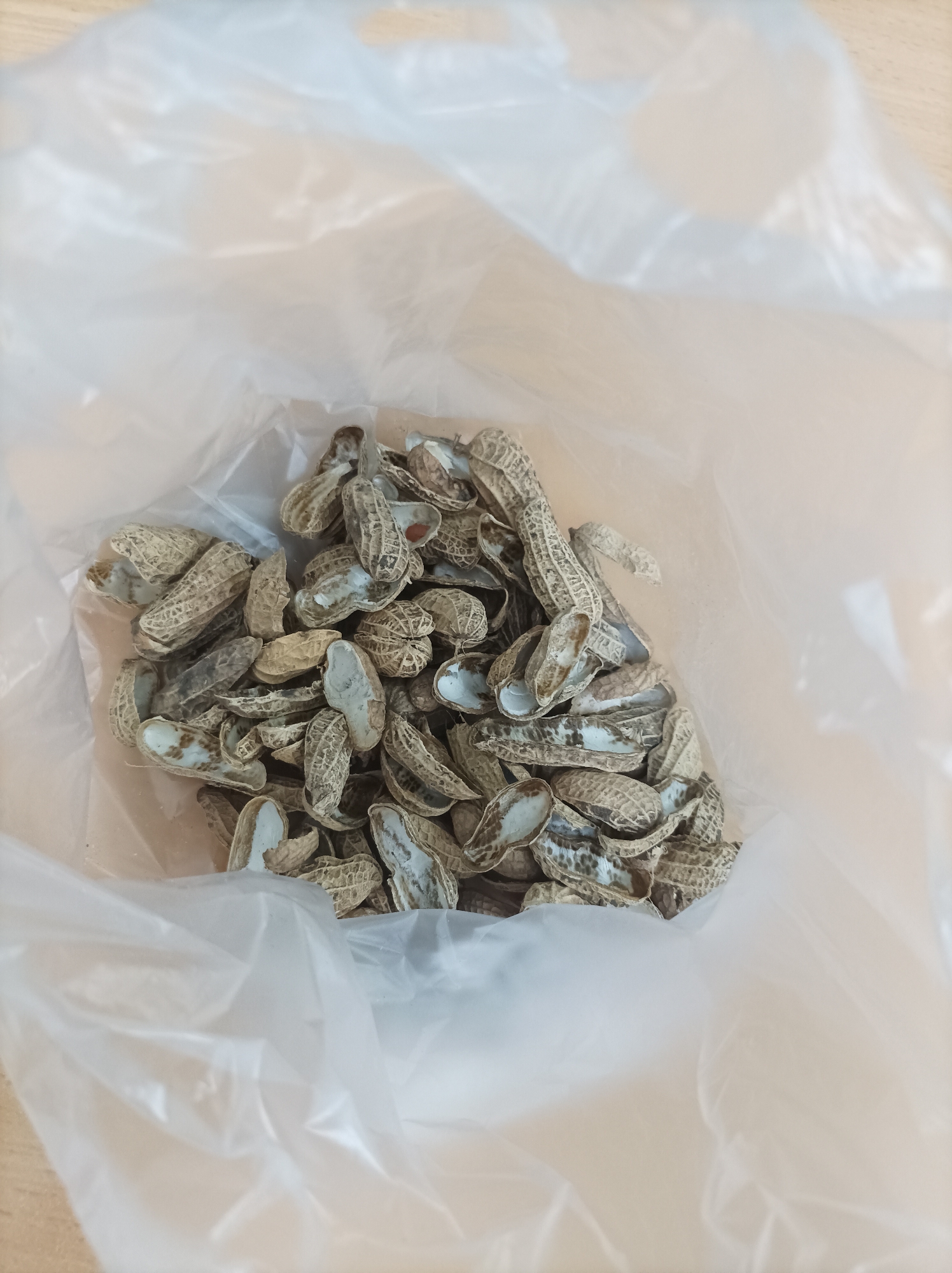 A pile of empty peanut shells rests inside a translucent plastic bag. The bag is open, revealing the shells, which are mostly light brown with some darker markings. The shells appear dry and slightly brittle. The bag itself is crinkled and catches the light, creating soft highlights and shadows. The background is a blurred surface that appears to be a wooden table. The image is taken from a slightly overhead perspective, looking down into the bag. There is no indication of people or any specific location in Nganjuk, Indonesia.