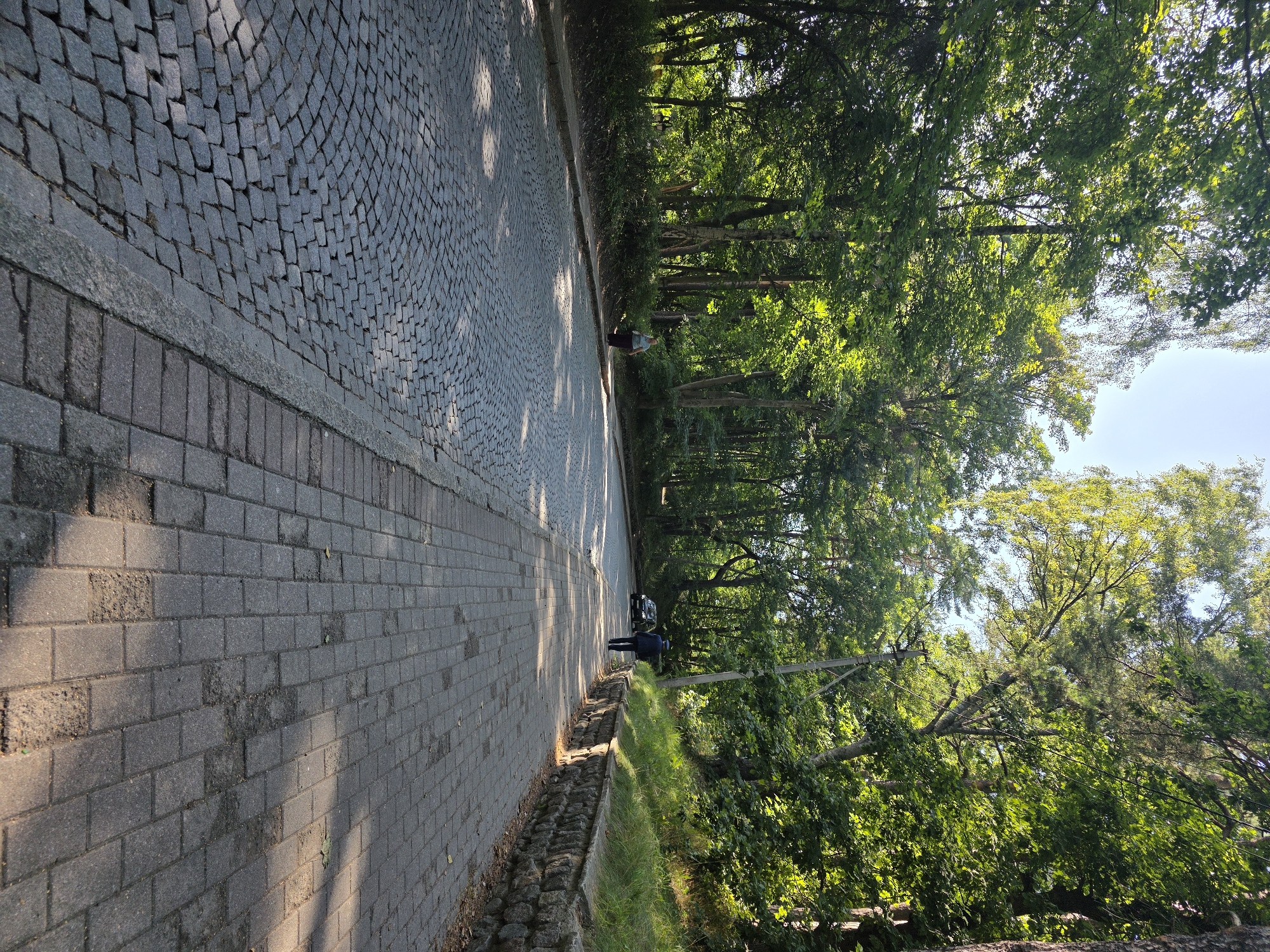 The image depicts a tree-lined street in Svetlogorsk, Russia, with a cobblestone road on the left and a paved sidewalk on the right. Sunlight filters through the dense green foliage, casting dappled shadows on the surfaces.
On the sidewalk, a person wearing a dark jacket and hat is walking away from the camera, towards a dark colored car in the distance. Further down the sidewalk, a person in a light blue top and dark skirt is walking towards the camera. The car appears to be stationary.
The environment is a park or a well-maintained residential area, characterized by mature trees, lush greenery, and a stone retaining wall lining the edge of the sidewalk. The cobblestone road is in good condition, with individual stones clearly visible. The sidewalk is made of rectangular pavers, some of which show signs of wear. The overall impression is one of a peaceful, natural setting within a city.