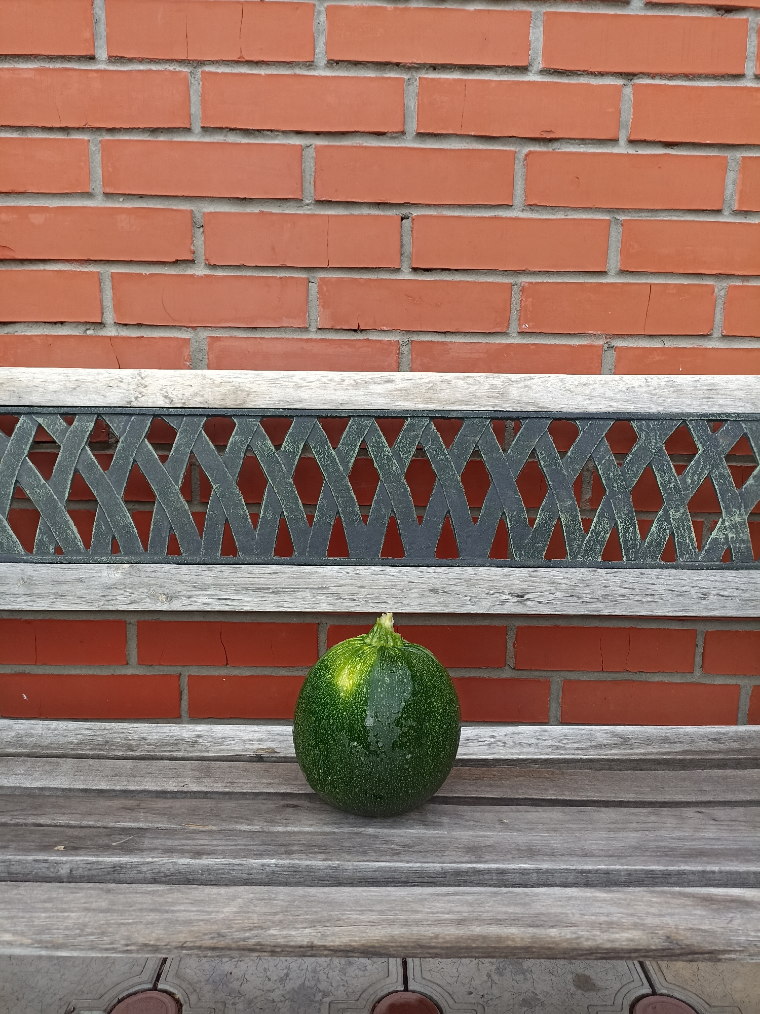 A single, small, green, round squash sits centrally on a weathered wooden bench. The bench is in front of a red brick wall. The bench has a decorative metal backrest with a diamond pattern. The scene is outdoors.