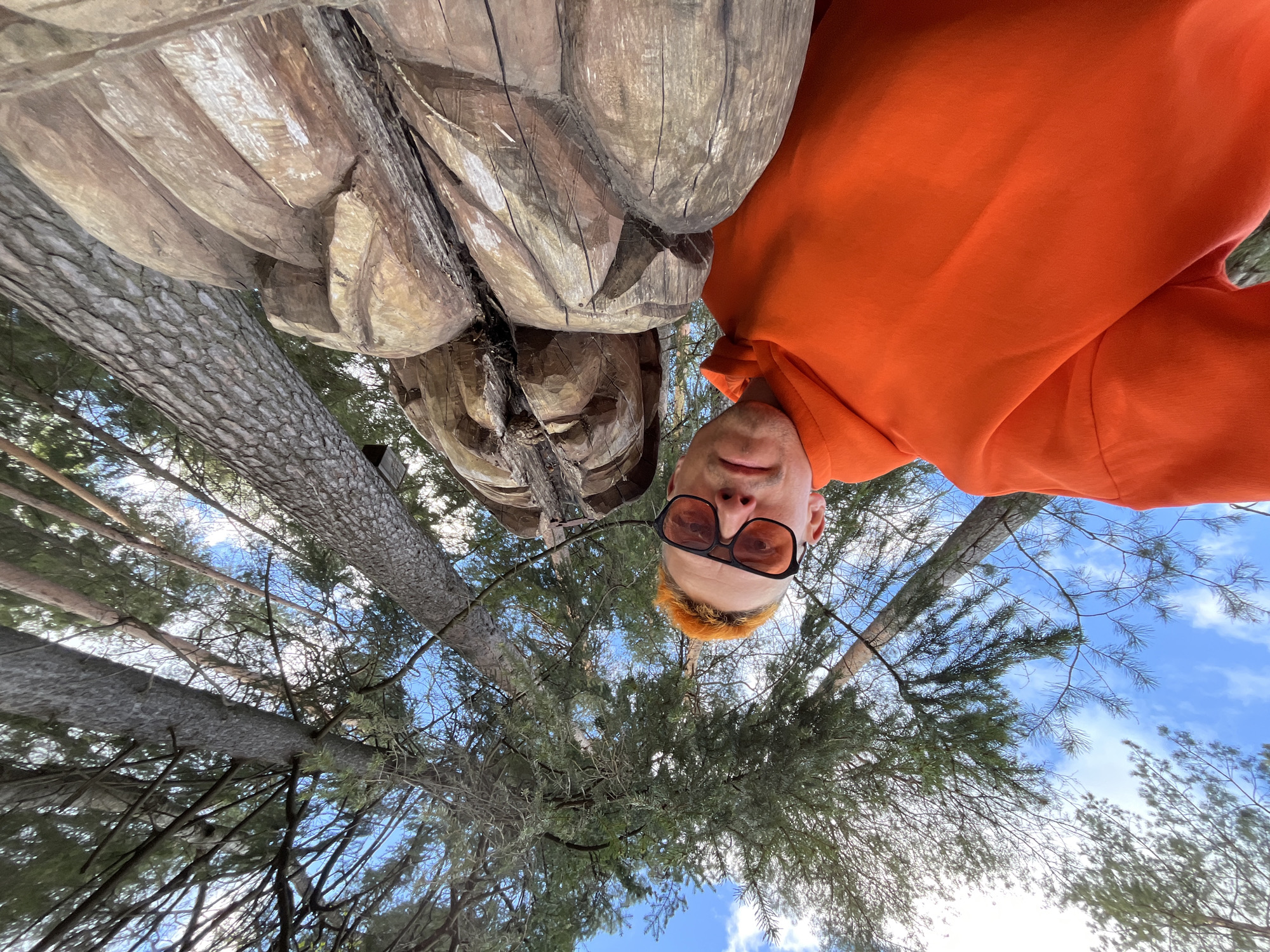 A low-angle shot shows a man in an orange hooded sweatshirt taking a selfie with a wooden sculpture in a forest. The man wears glasses and has short, orange-dyed hair. The sculpture is a roughly carved wooden figure with a visible face and body. The background consists of trees, branches, and a patch of blue sky with light clouds. The location appears to be a park or wooded area. The city of Chaikovsky, Russia is not discernable from this image.