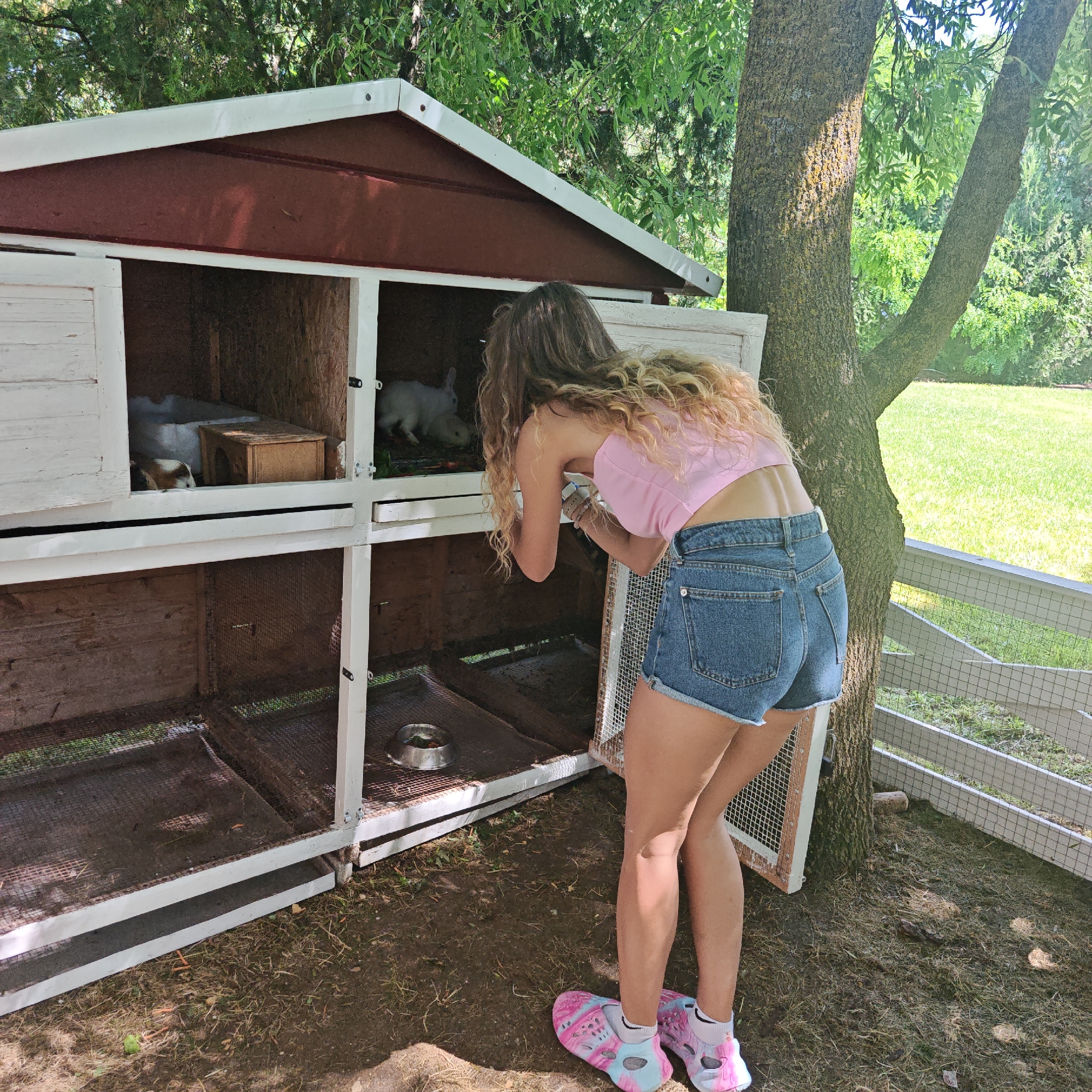 A young woman with long, curly blonde hair is tending to rabbits in an outdoor hutch. She is wearing a pink crop top and denim shorts. The hutch is a two-tiered structure made of wood with white trim and has sliding doors for access to the compartments. Several rabbits are visible inside the hutch; one is brown and white, and another is white. The woman is reaching into one of the compartments, possibly to feed or interact with the animals.
The scene is outdoors, with a large tree trunk to the right of the hutch, suggesting a natural or rural setting. Green grass and foliage are visible in the background, along with a white wire fence. The lighting indicates it is daytime, with bright sunlight casting shadows, suggesting a sunny day. The overall mood appears peaceful and domestic. No visible text is present in the image.