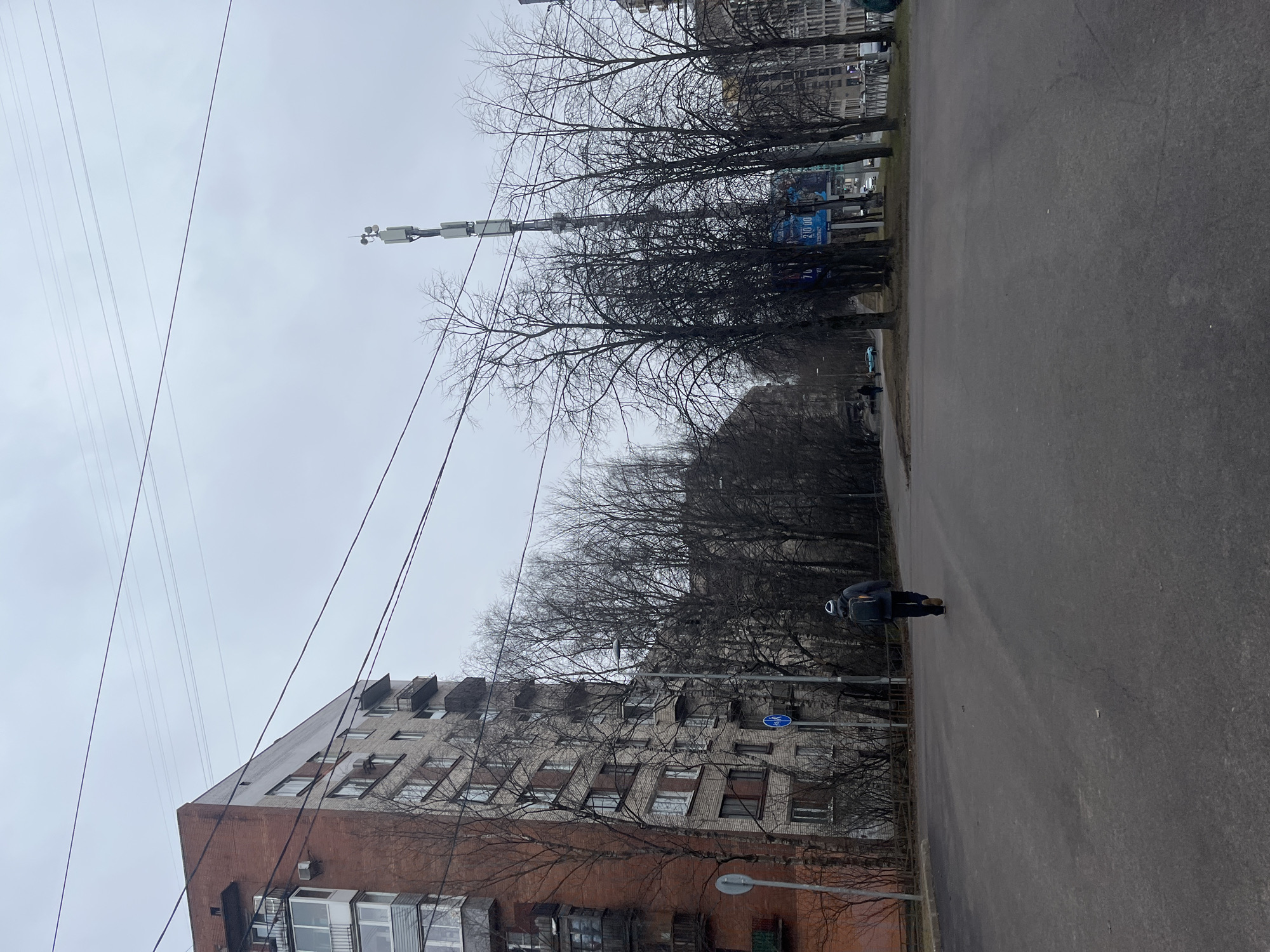 The image depicts a street scene in Saint Petersburg, Russia, under an overcast sky. A multi-story building with brick and gray concrete sections is visible to the left. Power lines run overhead. A row of bare trees lines the street. On the right, a person walks along the asphalt road. In the background, other buildings are seen. A sign is attached to one of the buildings.