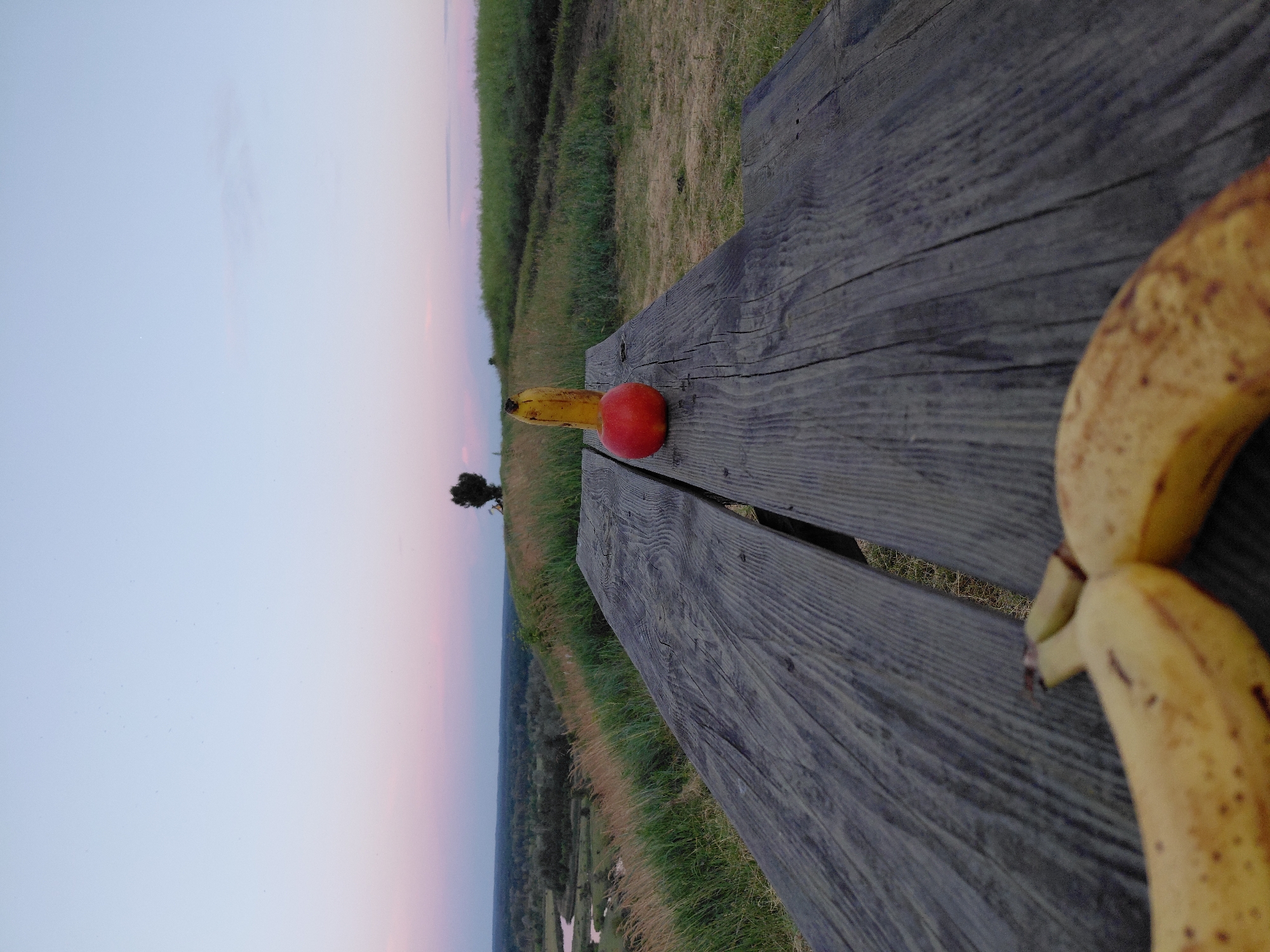 An extreme wide-angle, low-angle shot captures two bananas in the foreground, out of focus, resting on a weathered wooden picnic table. The table extends into the background, where a single red apple and a banana stand upright, positioned on the right half of the tabletop. Beyond the table, a lush, green landscape unfolds under a pale pink and blue twilight sky. Gentle hills covered in grass and scattered trees dominate the middle ground, with a winding river visible in the distance. The scene appears to be set in a rural or park-like environment, possibly near Ustyvytsia, Ukraine, judging by the vegetation and rolling terrain. The lighting suggests it is either dawn or dusk.