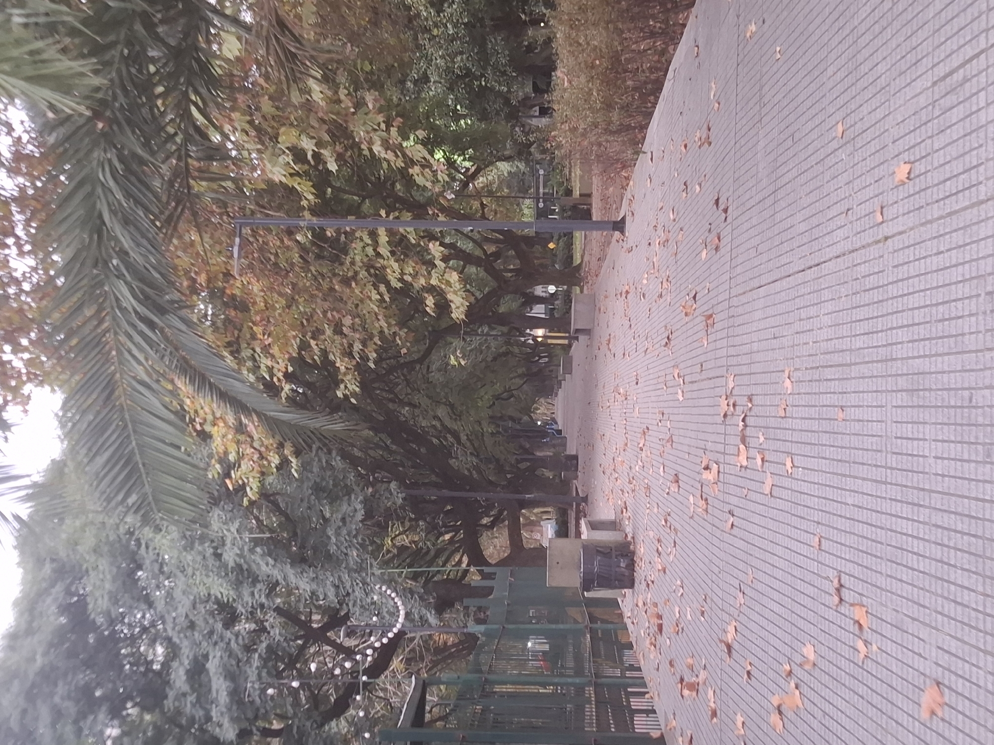 A pedestrian walkway is aligned from the bottom left of the frame to the top right. The walkway is tiled with small gray rectangles and is littered with fallen orange leaves. Trees line both sides of the walkway, forming a natural tunnel with light shining through at the distant end. A palm tree is on the left side of the frame. Benches are intermittently placed along the walkway. A metal fence with a green frame runs alongside the walkway on the left. Streetlights and other urban fixtures can be seen. The scene suggests an autumn setting in a park. The image is consistent with the Bosques de Palermo park in Buenos Aires, Argentina, given the architecture and the foliage. There are no people visible in the frame.