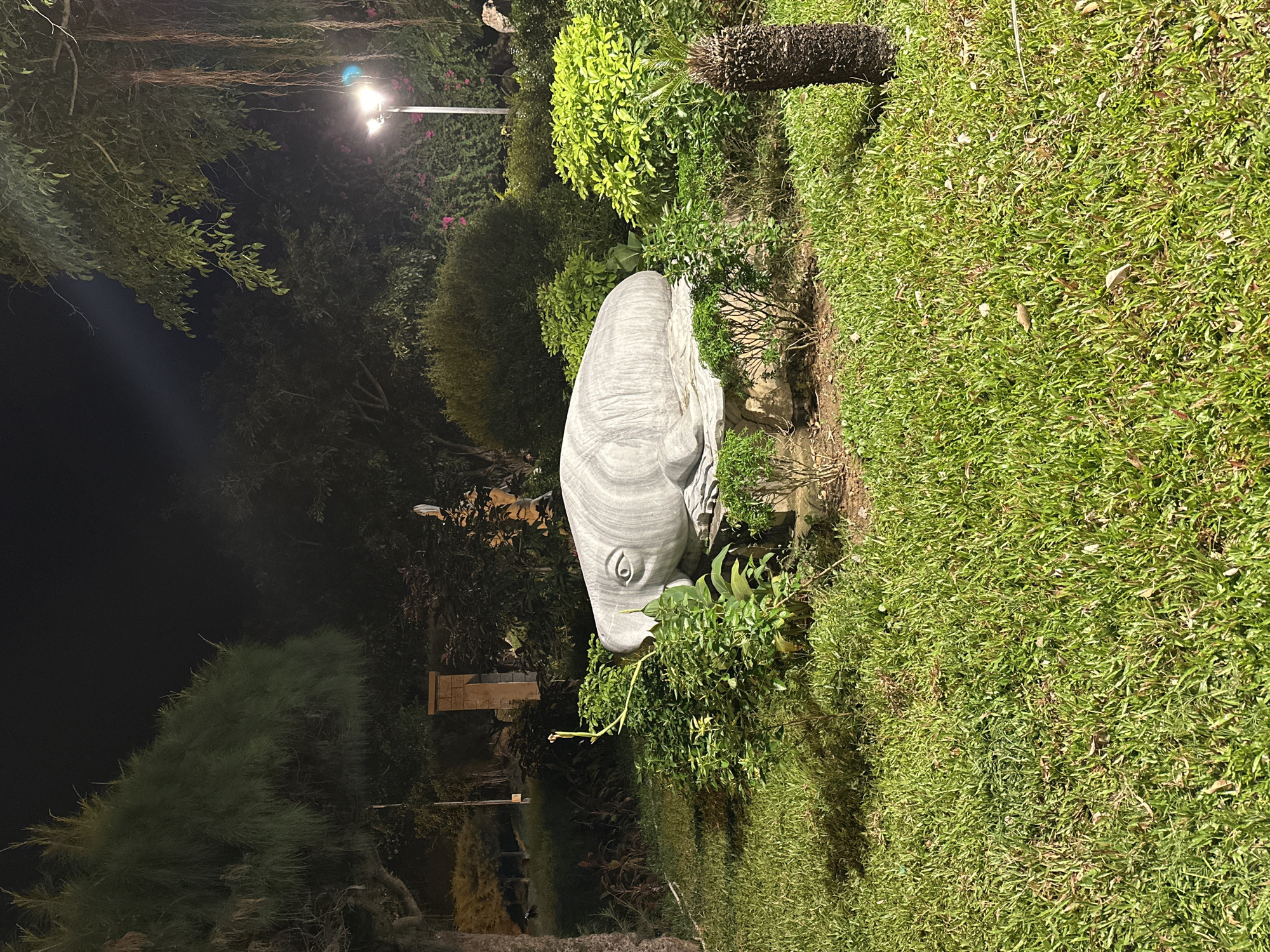 The image depicts a stone sculpture of a whale in a garden at night. The sculpture is grey and appears to be carved with striations. It is surrounded by lush green foliage and a well-maintained lawn. In the background, a lamppost illuminates the scene, casting shadows and highlighting the textures of the plants. The overall ambiance is serene and tranquil. The image was taken in Nha Trang, Vietnam.