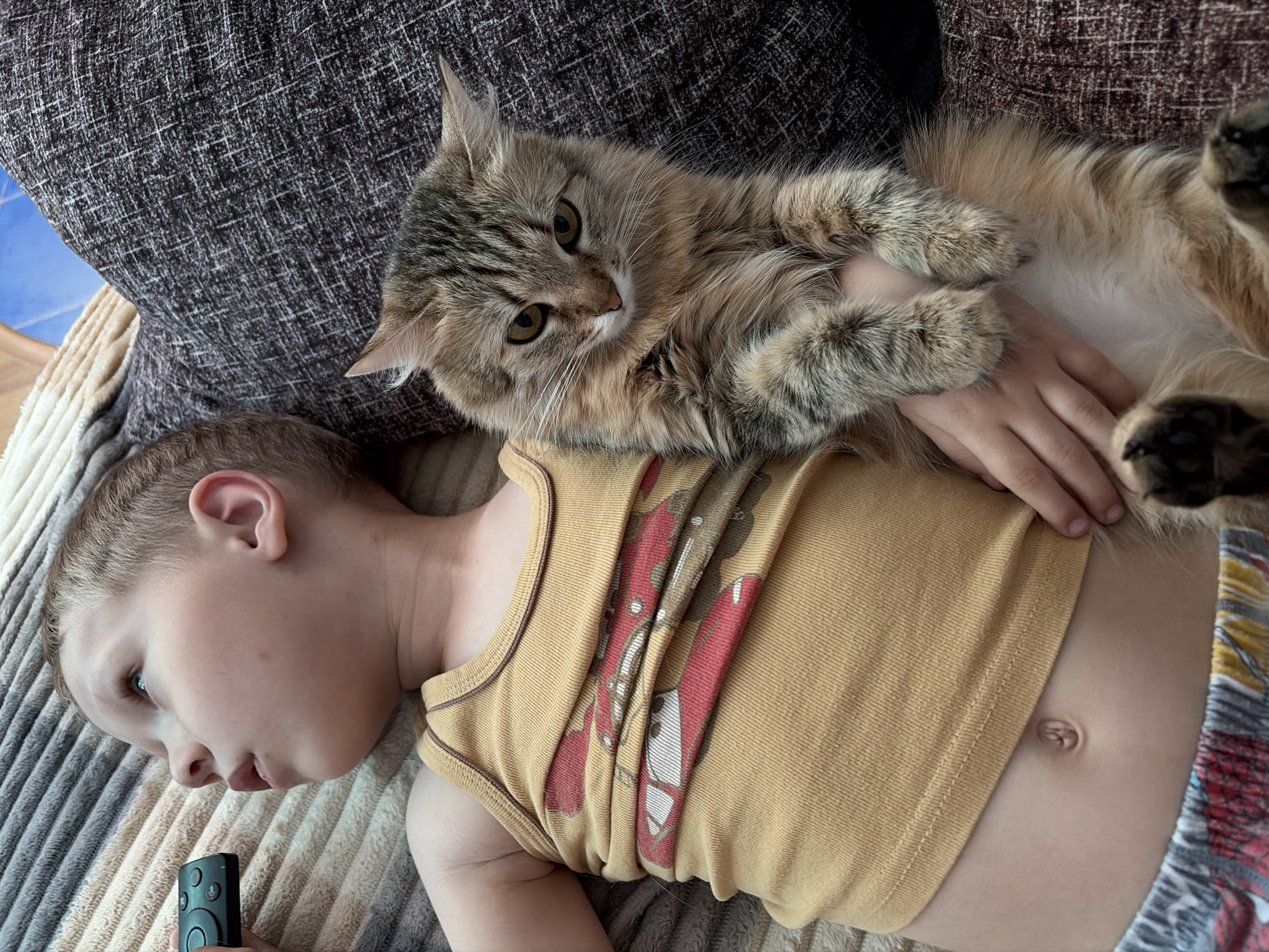 A child is lying on a striped blanket next to a brown cushion. The child wears a yellow tank top and patterned shorts and holds a black remote control in their hand. A cat lies on the child's chest, with its paws resting on the child's arm. The location is presumed to be Chaikovsky, Russia.
