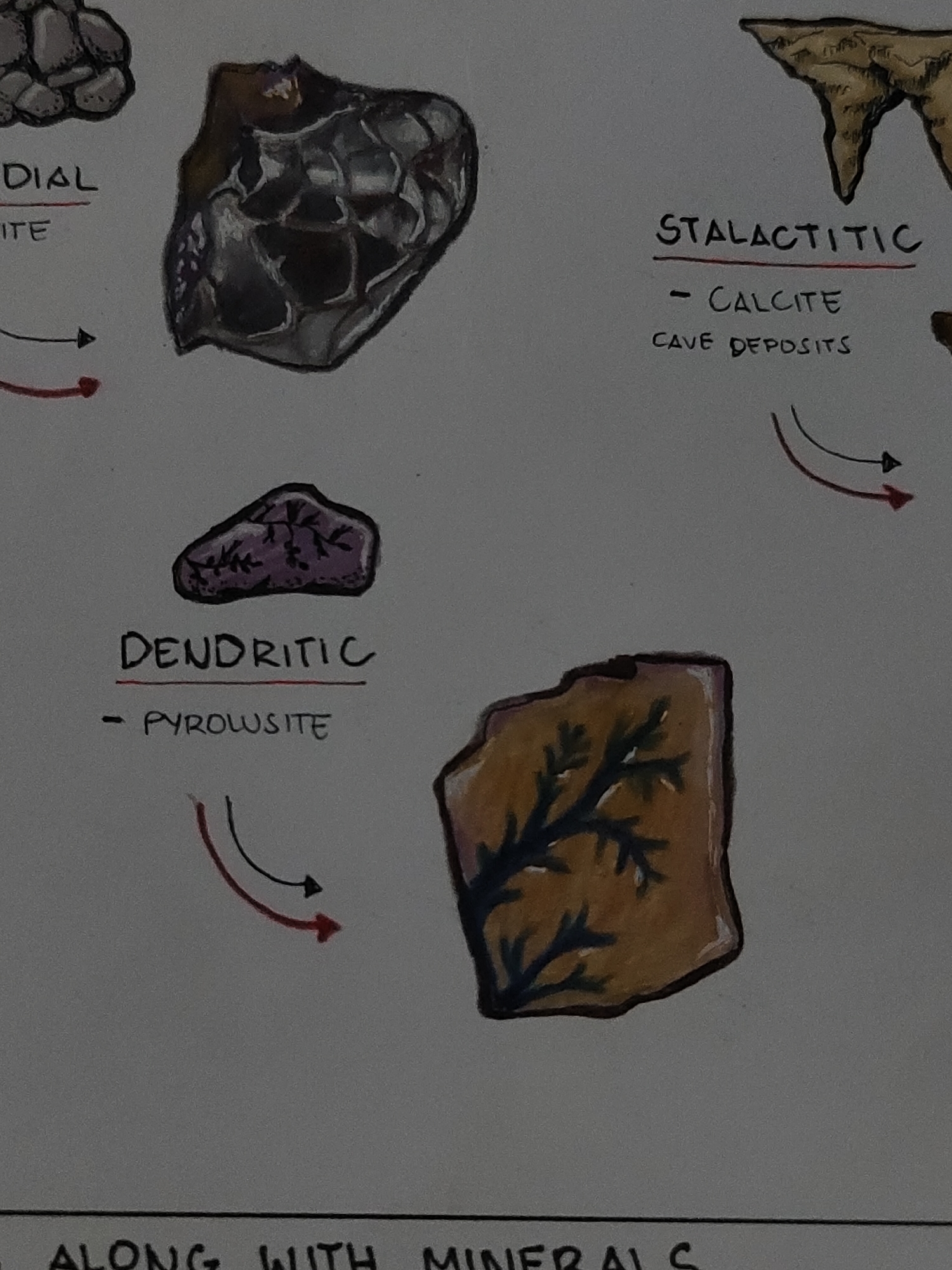 The image displays a dimly lit, medium-angle photograph of a hand-drawn educational diagram on white paper, illustrating various mineral habits and geological formations. No individuals are present.
In the upper right portion, a drawing of tan-colored stalactites descending from a cave ceiling is depicted. Below this drawing, handwritten text in black ink reads "STALACTITIC," underlined in red, followed by "- CALCITE" and "CAVE DEPOSITS." To the right and below this text, a curved black arrow and a curved red arrow point towards the lower right.
In the center-left, a drawing of a small, irregular purple mineral piece features dark, branching, fern-like inclusions. Below this, handwritten text states "DENDRITIC," underlined in red, followed by "- PYROWSITE." Below this text, a curved black arrow and a curved red arrow point towards the lower right.
To the right of the "Dendritic" label and corresponding arrows, a larger, irregular yellowish-brown mineral drawing is depicted, also exhibiting prominent dark, branching, tree-like patterns consistent with a dendritic habit.
Above the "Dendritic" label and to the left of the "Stalactitic" formation, a large, dark, irregularly shaped mineral drawing with multiple lustrous, faceted, or botryoidal surfaces is visible.
In the upper left quadrant, only fragments of another mineral drawing (appearing as a cluster of rounded shapes) and partially visible handwritten text including "DIAL" and "ITE" are discernible, accompanied by curved black and red arrows pointing right.
At the very bottom of the visible area, partially obscured, is an underlined handwritten phrase "ALONG WITH MINERALS."
The image itself contains no discernible information, textual or contextual, that links its content or origin to Davao City, Philippines. The subject matter is solely geological illustration.