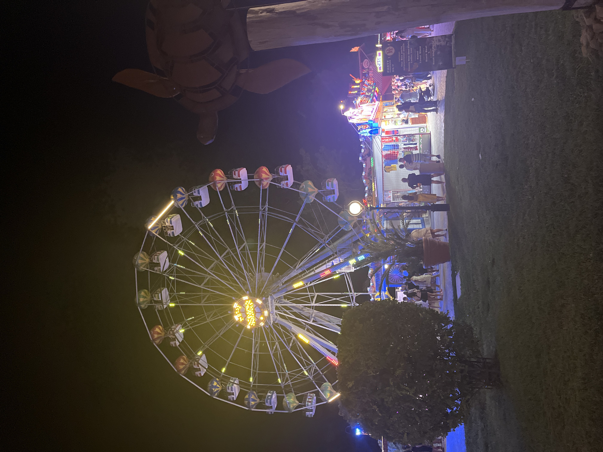The image depicts a vibrant night scene at a carnival or amusement park, likely located in the city of Varna, Bulgaria. Dominating the left side of the frame is a large, illuminated Ferris wheel, its structure outlined with yellow and white lights, and adorned with colorful gondolas. To the right, a large, rustic wooden pole supports a prominent, orange, turtle-shaped sculpture, its shell detailed with dark lines.
In the background, various carnival attractions and food stalls are visible, bathed in a mix of colorful lights, including bright blues and purples, creating a festive atmosphere. A crowd of people is milling about, suggesting a lively evening with many visitors. Among the people, some are standing and observing, while others appear to be walking or engaged in conversation. One person is pushing a stroller.
The foreground is a grassy area, partially illuminated by artificial lights, with a dark, leafy bush on the left and a large potted plant on the right. The overall impression is one of a bustling evening at a popular entertainment venue.