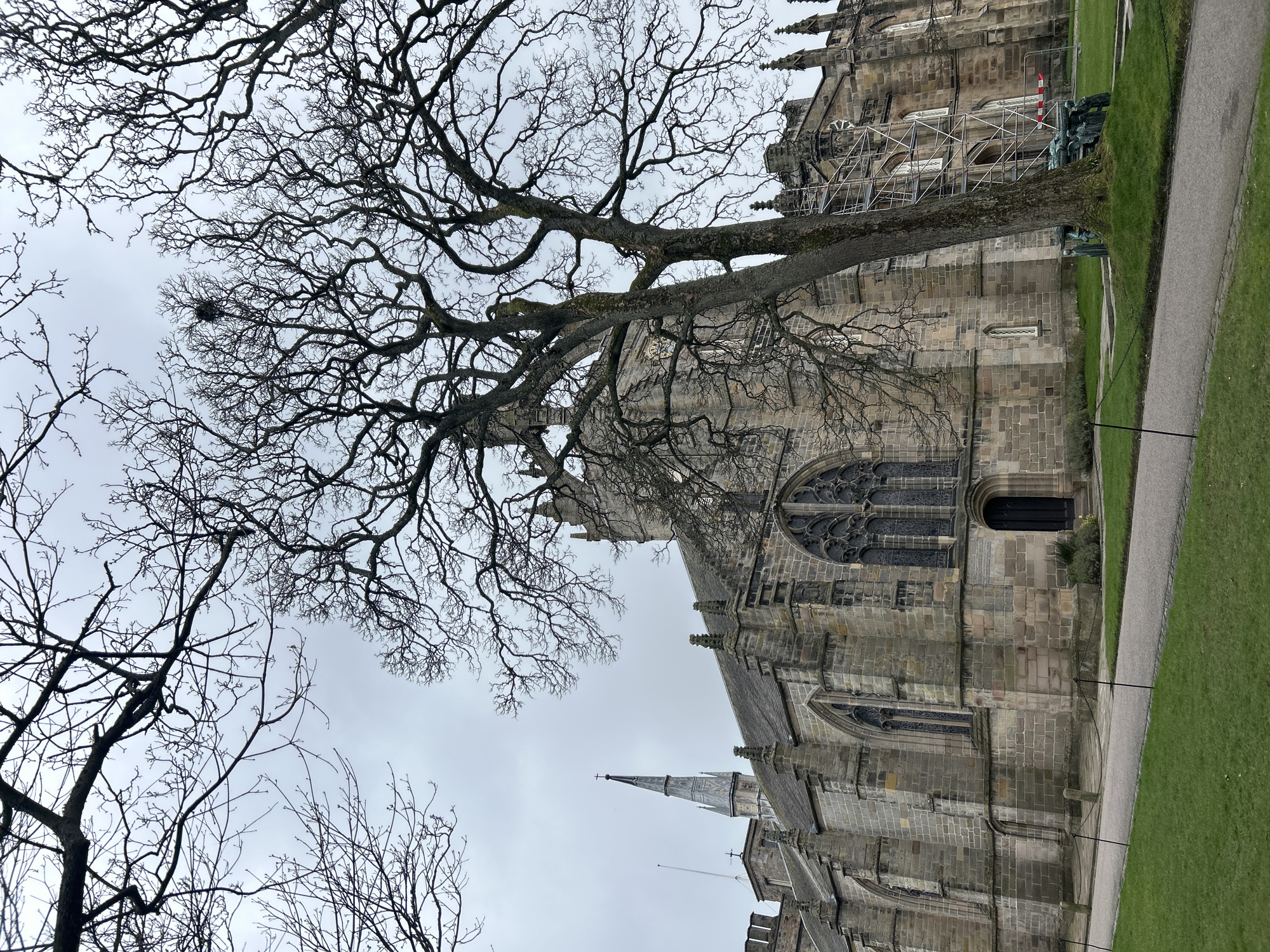 The image shows an exterior view of King's College Chapel, part of the University of Aberdeen, in Aberdeen City, United Kingdom. A large bare tree with a bird's nest in its branches dominates the foreground, partially obscuring the chapel. The chapel is constructed of light-colored stone, and its Gothic architecture is visible. Scaffolding is present on the building, indicating ongoing maintenance or renovation. A statue is positioned near the base of the tree on the right side of the frame. The ground near the chapel is covered in green grass and a paved walkway. The sky is overcast.