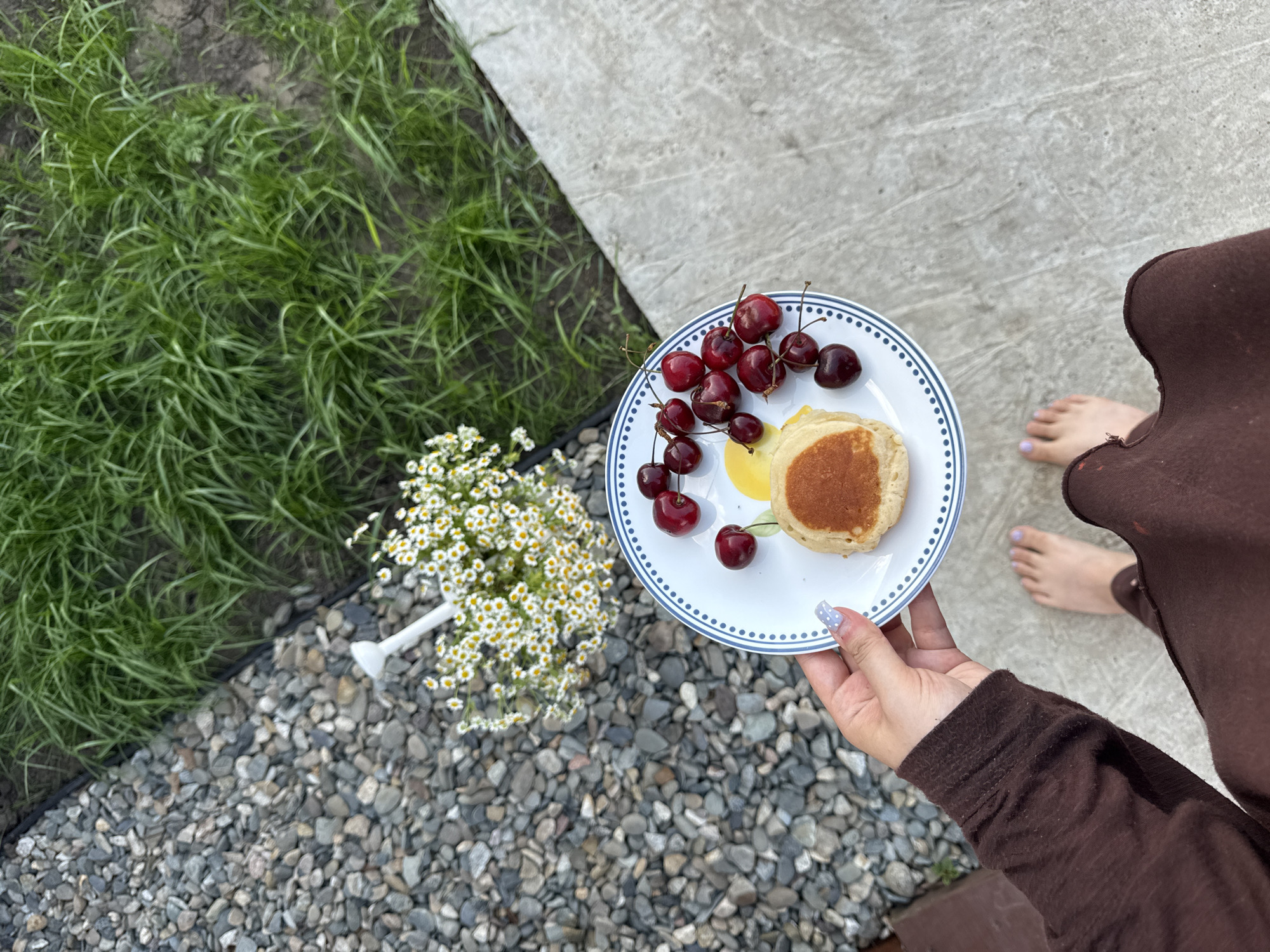 In this top-down, medium shot, a person is holding a white plate with a blue trim, on which sits a small pancake and a cluster of ripe cherries. The person's right hand, with a light blue and white polka dot nail polish, is visible as they hold the plate. They are wearing a brown long-sleeved shirt. Their bare feet, with light purple toenail polish, are visible on a grey concrete surface. To the left of the plate, a bouquet of small white flowers with yellow centers is arranged in a white object, possibly a vase or holder. This floral arrangement rests on a bed of small grey and brown pebbles, which transition to green grass with a dark border. The background consists of more grey concrete, suggesting an outdoor setting, perhaps a patio or walkway. The lighting suggests it is daytime. The scene conveys a sense of a simple, leisurely moment outdoors.