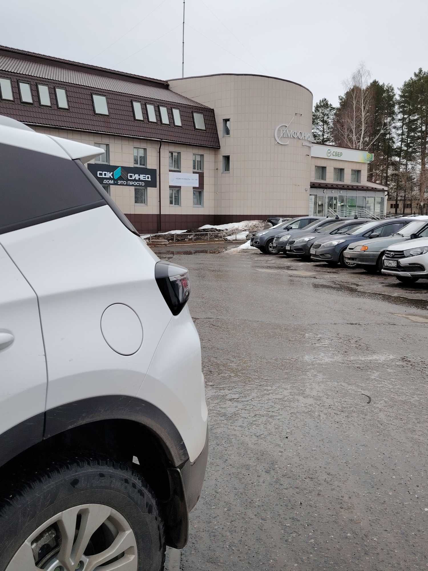 The image captures an outdoor scene in Chaikovsky, Perm Krai, Russia, specifically depicting a parking lot and the façade of the "Symphony" (Симфония) building, located at what appears to be a commercial center. The environmental conditions indicate an overcast day with a wet ground surface, consistent with recent precipitation or melting snow and ice.
In the immediate foreground, the rear passenger side of a white SUV or crossover is partially visible. This vehicle features a circular fuel cap cover, a black plastic fender flare, and a silver multi-spoke wheel fitted with a studded Hankook tire. The vehicle's lower body and wheel exhibit visible dirt and road grime.
The midground presents a parking area with a wet, dark grey asphalt surface showing puddles and visible aggregate. A row of approximately seven parked vehicles is aligned, mostly sedans and one SUV, in various shades of grey and white. One grey sedan displays a partially visible Russian license plate, "P210MA 159", with "159" being the regional code for Perm Krai. Along the far edge of the parking lot, piles of dirty snow and slush are evident, next to a raised dirt area.
The background features a multi-story commercial building composed of two main sections. The left section has a prominent brown mansard roof with several evenly spaced rectangular dormer windows. Its façade is light-colored, likely beige or tan, with multiple windows. Signs on this section read "СОК СИНЕО ДОМ - ЭТО ПРОСТО" (SOK SINEO HOME - IT'S SIMPLE) and a smaller sign stating "НЕДВИЖИМОСТЬ - ТУТ ЖЕ" (REAL ESTATE - RIGHT HERE). The right section of the building features a distinct curved, light-colored façade adorned with a large, stylized "Симфония" (Symphony) text. Below this, a green "СБЕР" (Sberbank) logo and signage are clearly visible, indicating a Sberbank branch. Behind the building, a dense line of tall coniferous trees, predominantly pines, and a few bare deciduous trees are visible against a uniformly grey, overcast sky. No individuals are present in the scene.