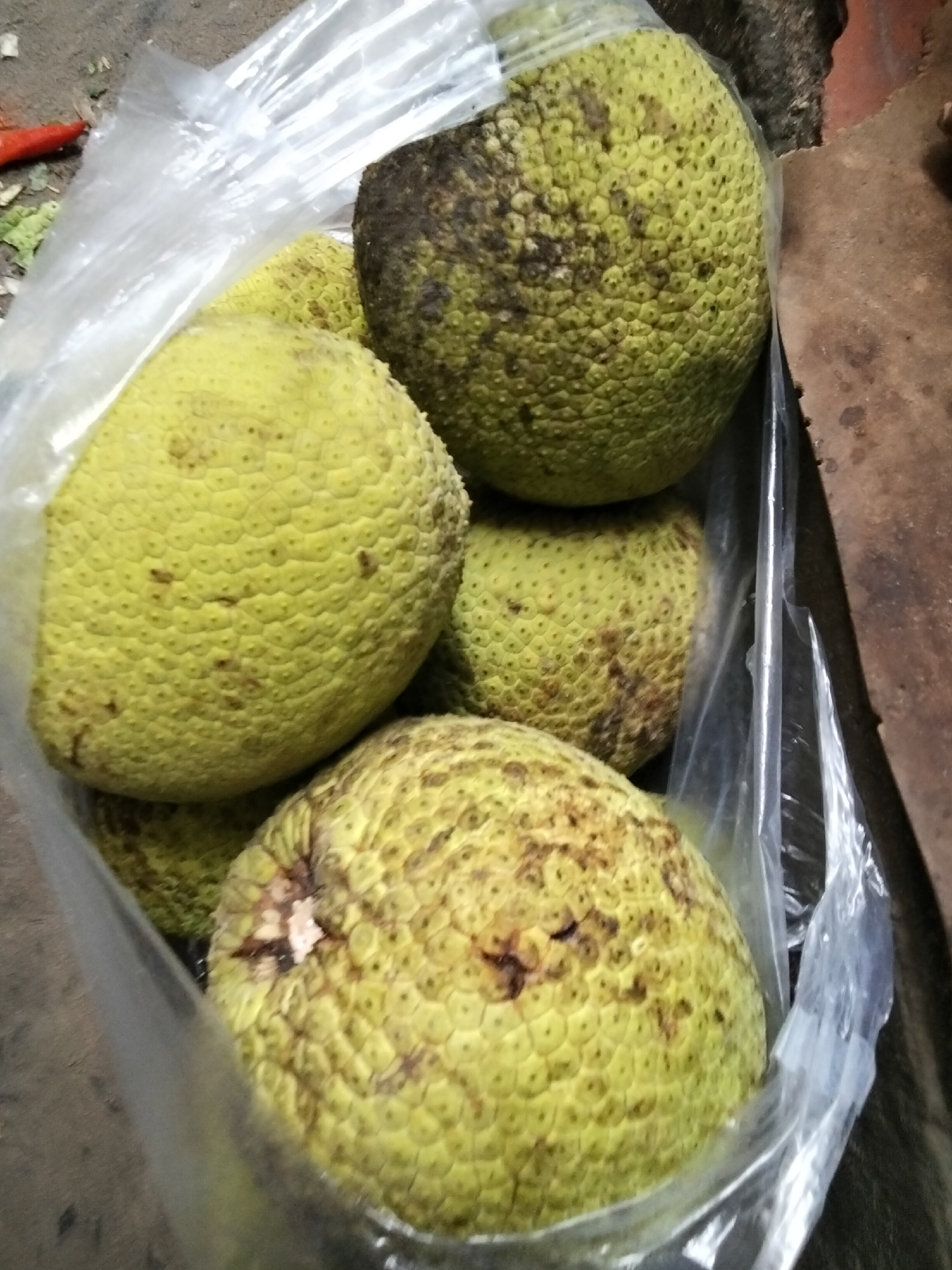 This image depicts a close-up, overhead view of several large, green breadfruits enclosed in a clear plastic bag. The breadfruits are roughly spherical and covered in a textured, bumpy rind with some brown spots and discoloration, suggesting ripeness or minor imperfections. The bag is partially open, revealing the fruits within. In the background, a rough, textured surface, possibly a wall or ground, is visible, along with a reddish object that might be a chili pepper and some green leaves, hinting at a market or street vendor setting in Mũi Né, Vietnam. The lighting is natural, creating some shadows and highlights on the fruits and bag.