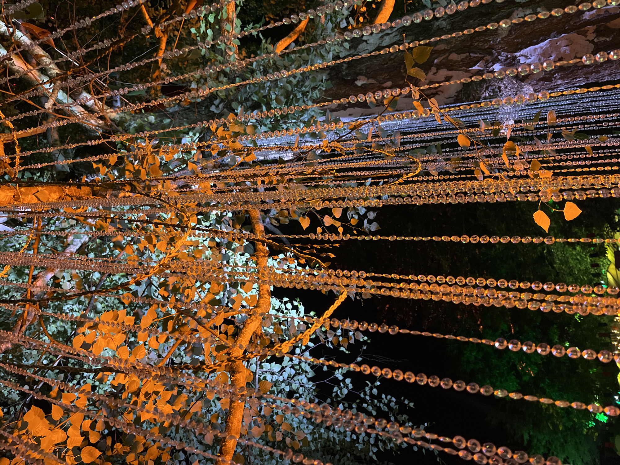 The image presents a detailed, low-angle view of a large tree at night, illuminated by artificial lighting and decorated with numerous strands of translucent beads. The tree's canopy features leaves in varying states of illumination; some are brightly lit with an orange-amber glow, particularly in the upper-left and central areas, while others appear in a cooler, desaturated green or blue-tinted light, especially towards the upper-right and background. The branches, textured bark, and a prominent tree trunk are visible, reflecting the different light sources. Hundreds of beaded strings, composed of small, clear, faceted spheres, hang vertically from the branches, descending through the foliage. These beads reflect the surrounding light, contributing to the overall luminosity and visual texture. The background is dark, indicating a nighttime setting, with hints of additional green-lit foliage visible in the lower sections of the frame. No individuals are present. This scene is situated in Sremski Karlovci Municipality, Serbia.