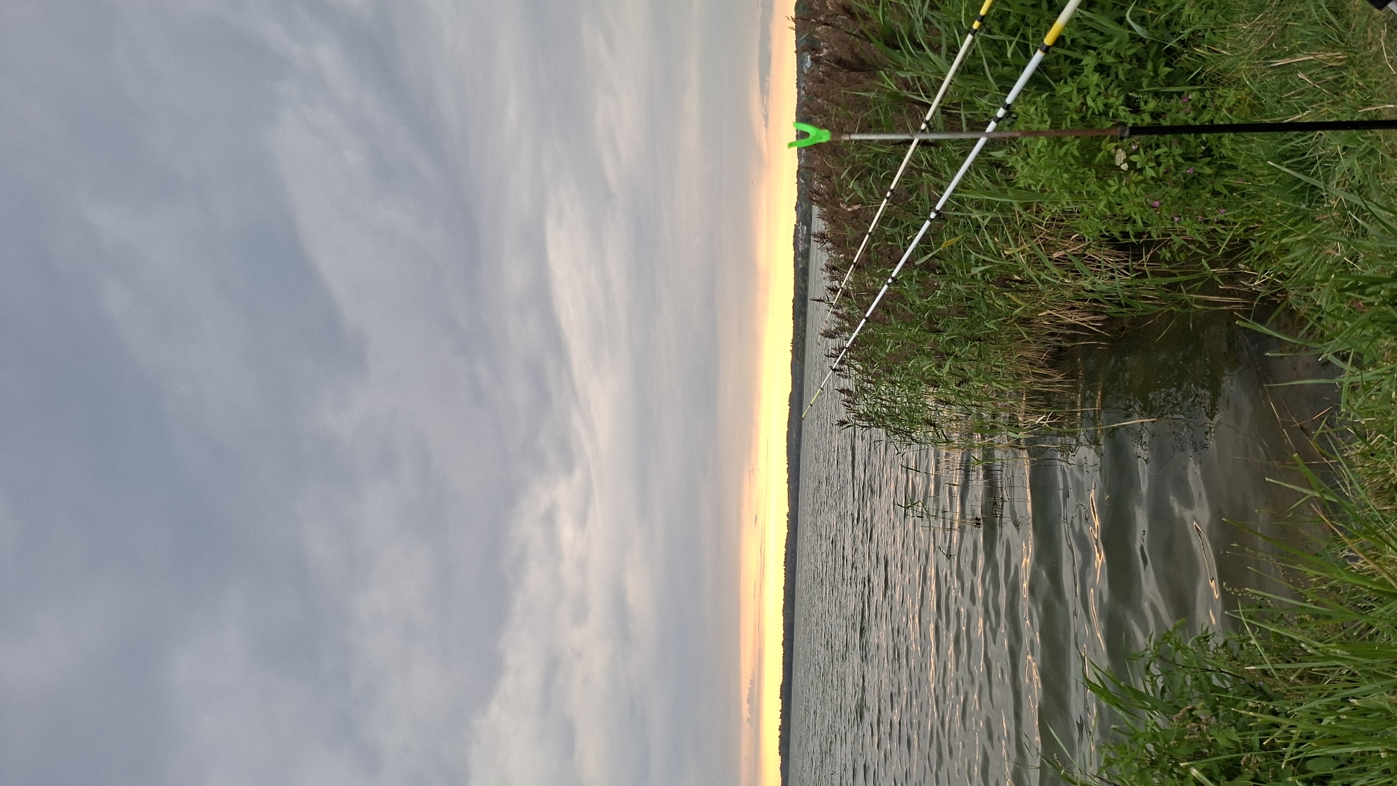 This is a landscape photograph taken at dusk, overlooking a body of water, likely a lake or reservoir. The sky is overcast with a band of yellow and orange light visible on the horizon, suggesting the sun has recently set or is about to rise. The water's surface is rippled, reflecting the muted colors of the sky.
In the foreground, on the right side of the image, tall reeds and green vegetation grow along the bank. Several fishing rods are set up, resting in rod holders. One holder, bright green, is prominently visible. The rods extend out over the water. The bank appears to be natural, with grass and other plants.
The background shows a distant treeline and a hint of buildings, indicating a populated area across the water. The overall atmosphere is calm and serene, typical of a fishing spot at the end of the day. The location is identified as being in the city of Myadzyel, Belarus. There are no people visible in the image.