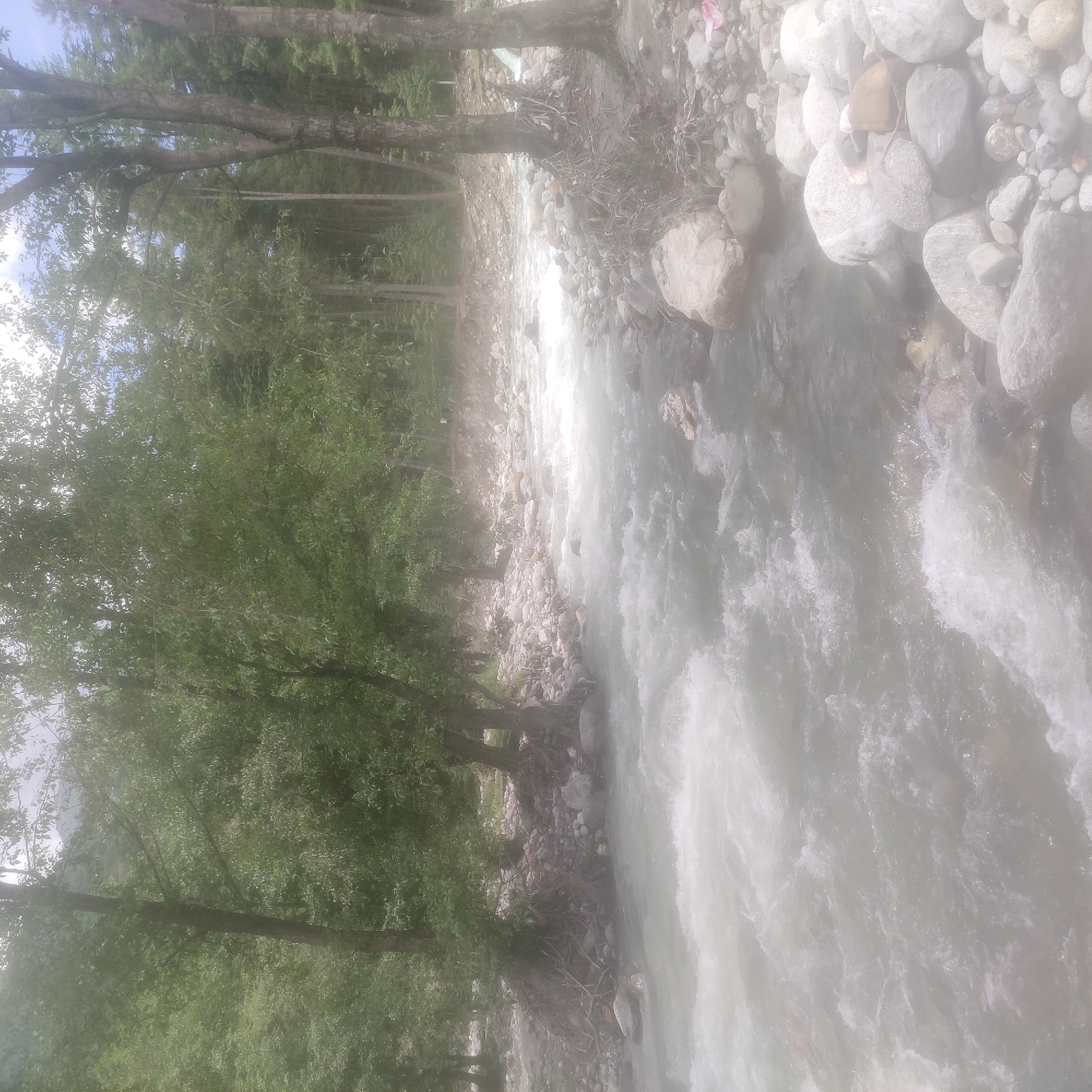 A wide, fast-flowing river with whitewater rapids dominates the foreground of the image. The riverbed is lined with numerous grey and white stones of varying sizes, some smooth and rounded, others more angular. Lush green trees with dense foliage line the riverbanks, creating a dense forest setting. The trees are tall and varied in species, with some appearing to be deciduous and others coniferous. The ground beneath the trees is also covered with stones and some sparse vegetation. In the background, the forest continues to extend up a gentle slope, with glimpses of the sky through the canopy. The overall scene depicts a natural, wild river environment within a forest, likely in a mountainous or hilly region. No people are visible in the image.