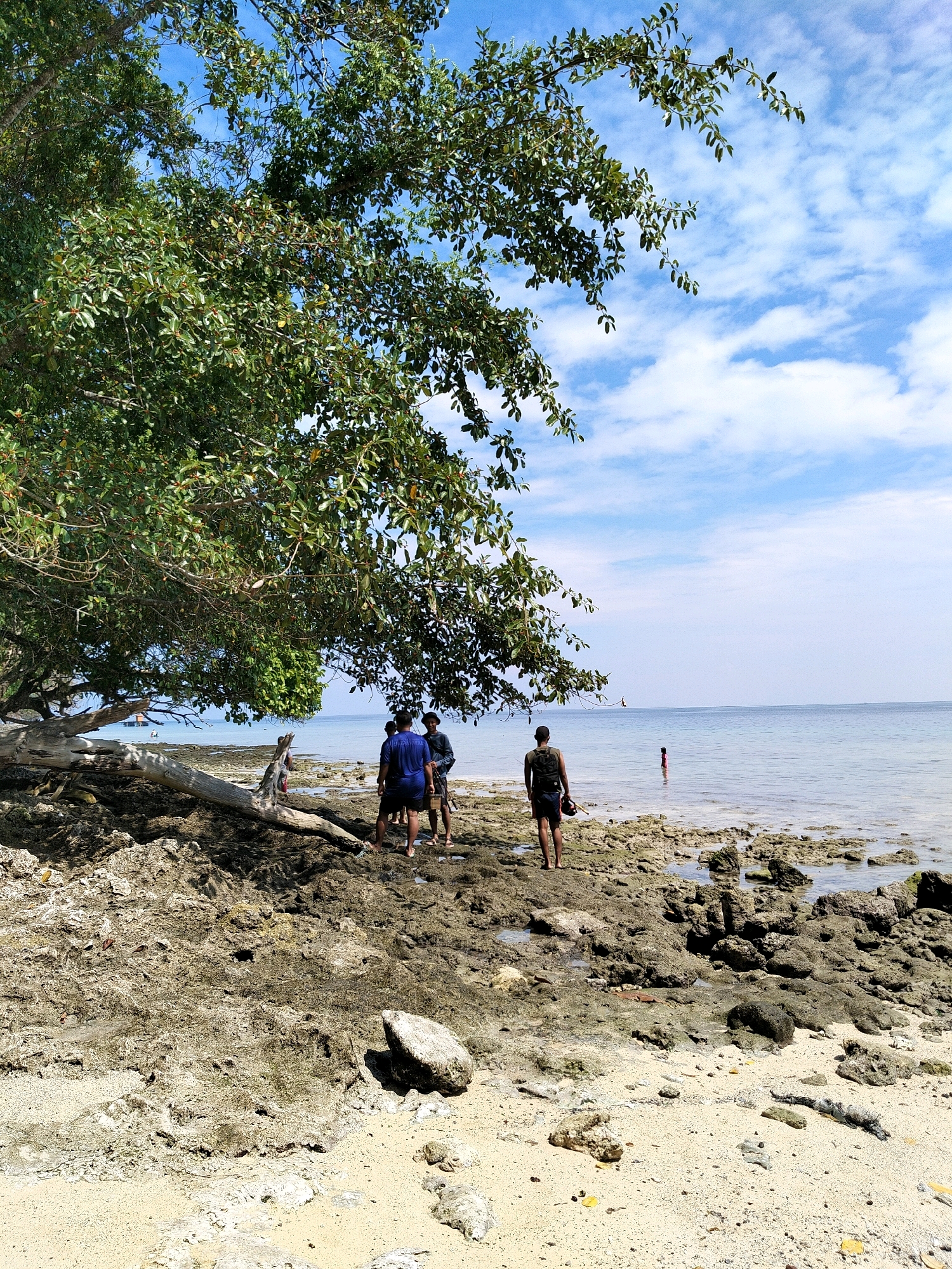 A wide-angle, eye-level shot captures a tropical beach scene under a bright, partly cloudy sky. In the foreground, a rocky, sandy shore is dotted with various sizes of rocks and a large, fallen tree trunk lies diagonally across the scene. Further back, the gentle, clear ocean meets the shore. Three people are visible standing on the rocky area near the water. One person, wearing a blue shirt and dark shorts, stands closest to the water. To their right, another person in a dark shirt and shorts faces away from the camera. A third person, also facing away, wears a dark shirt and shorts and carries a backpack. In the middle distance, a fourth person in a red garment stands in the shallow water. Farther out, a sailboat is visible on the horizon. The scene is characterized by a dense tree with green foliage dominating the upper left portion of the frame, its branches extending over the beach. This location is likely a coastal area in Biak, Indonesia, known for its beaches and natural beauty.