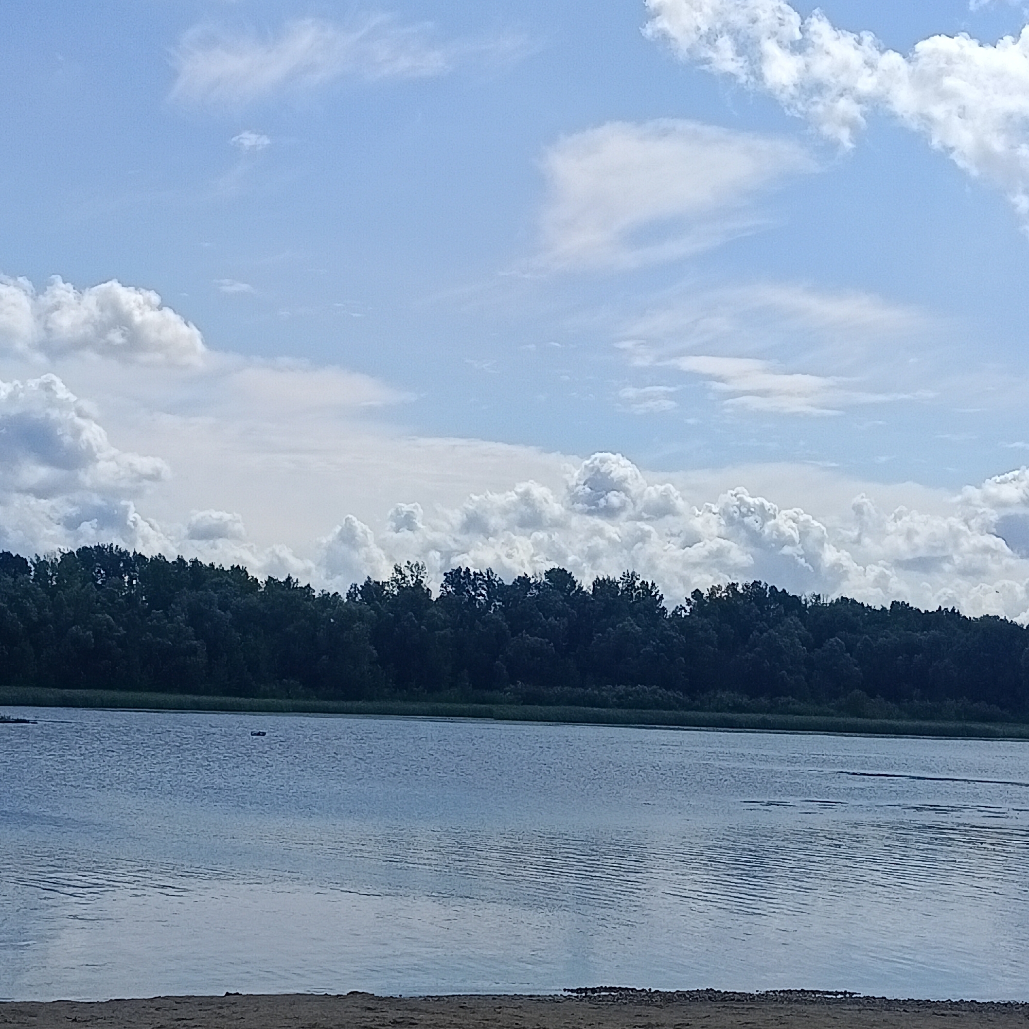 The image depicts a tranquil waterscape with a foreground of sandy beach, leading to a calm body of water. A dense line of dark green trees forms the horizon. Above, a bright blue sky is populated with a variety of white clouds, ranging from wispy streaks to larger, billowy formations. The scene is likely a natural setting, possibly a lake or riverbank, on a clear day with scattered cloud cover. There are no people or specific structures visible in the image that would help to pinpoint a location within the city of Rozhdestveno, Russia.