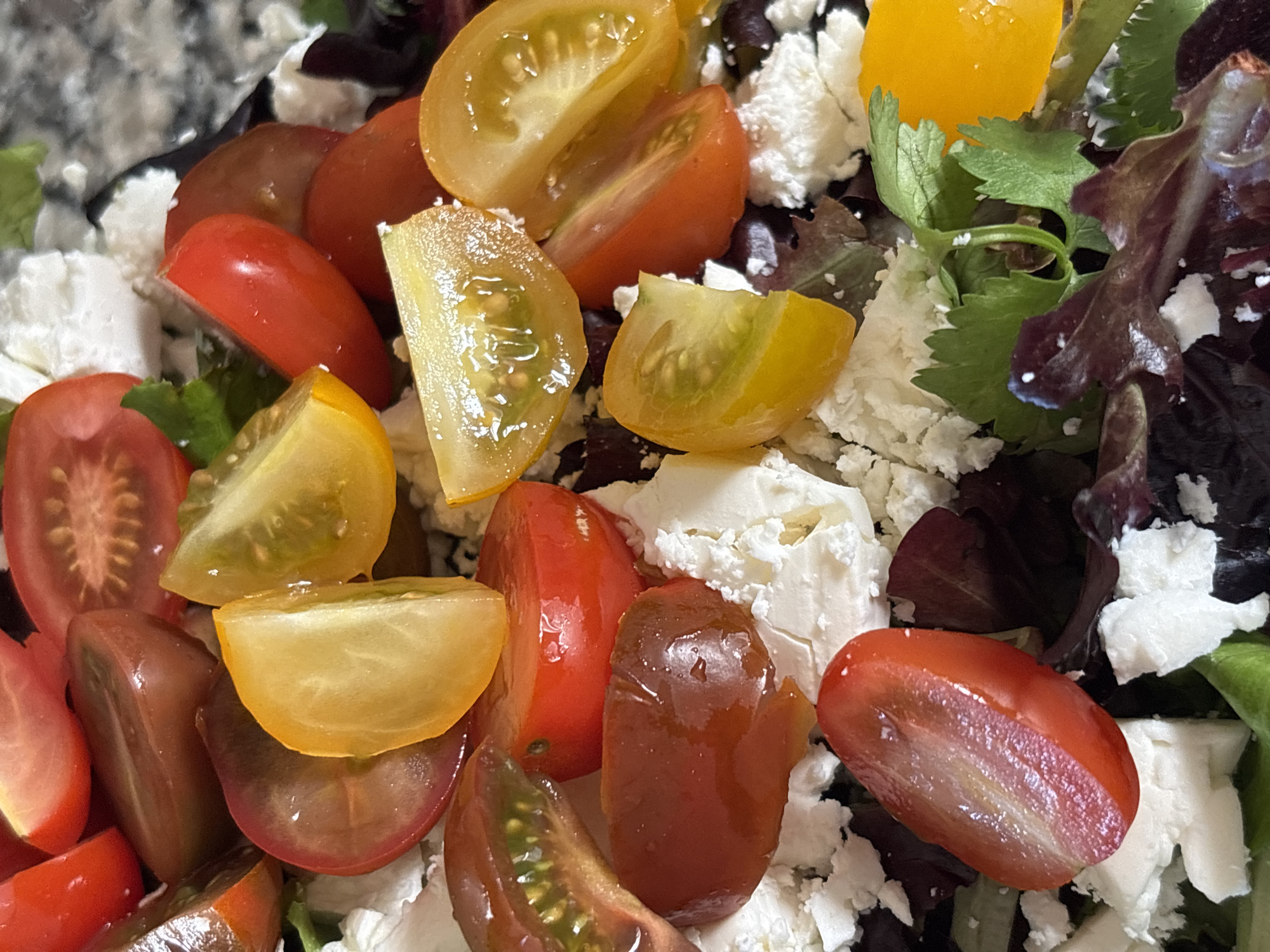 The image shows a close-up view of a colorful salad. The salad contains a variety of sliced cherry tomatoes in shades of red, yellow, and a deep reddish-brown. There are also chunks of white cheese, likely feta, interspersed with dark leafy greens and sprigs of fresh cilantro. The overall impression is one of freshness and vibrant colors. The salad is presented in a shallow dish or bowl. The background is out of focus, but appears to be a textured surface, possibly a countertop. There is no indication of the city of Tavira, Portugal in the image.