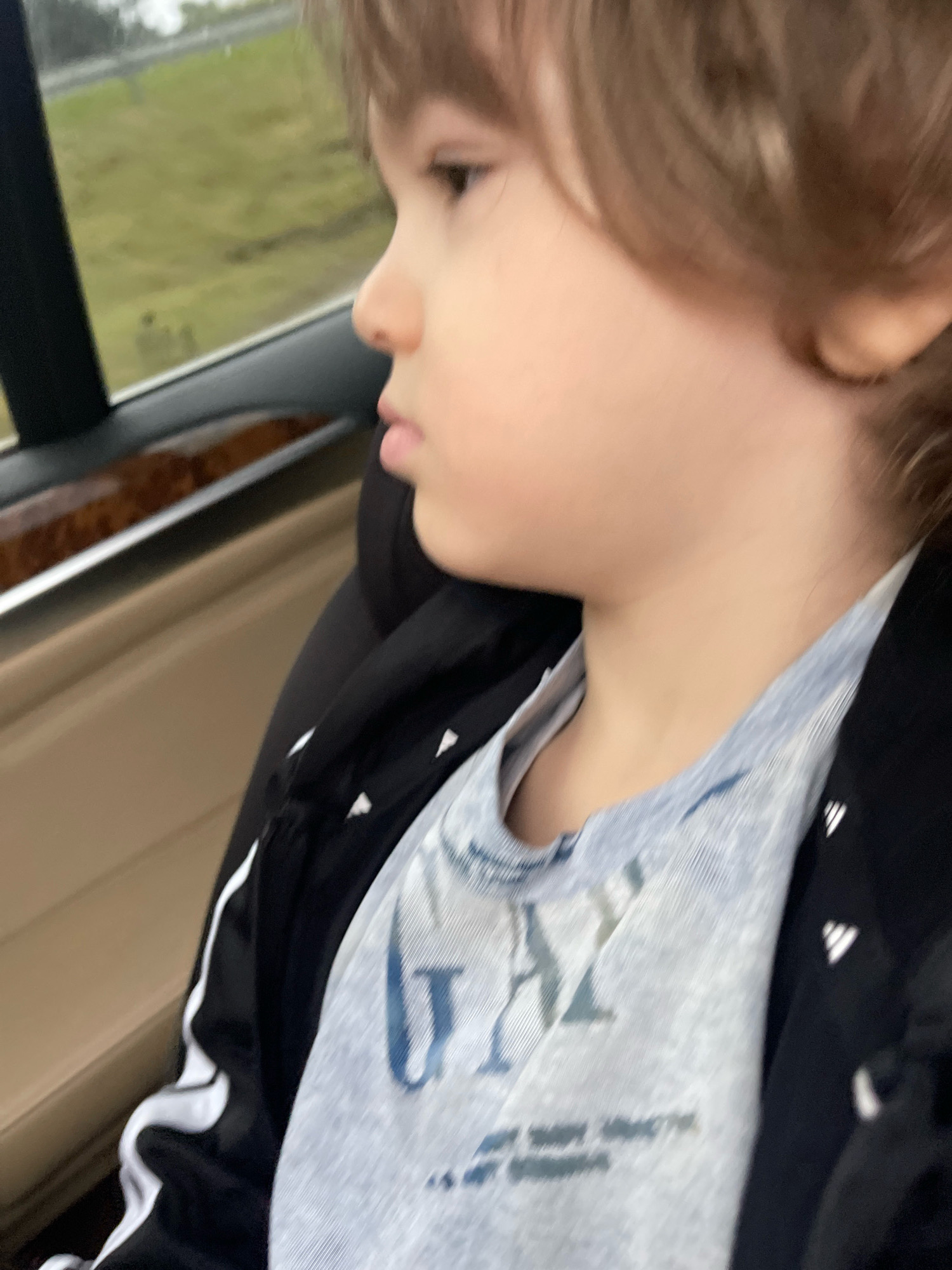 A young child, viewed from the side and slightly from the right, is looking out a car window. The child has light brown hair and is wearing a light blue t-shirt with blue lettering and a black jacket with white stripes. The interior of the car is visible, including a beige seat and a dark wood trim on the door. The child appears to be in motion, as indicated by the blurry background outside the window which shows a grassy field and a road. The specific location in Tallinn, Estonia is not discernible from the image.