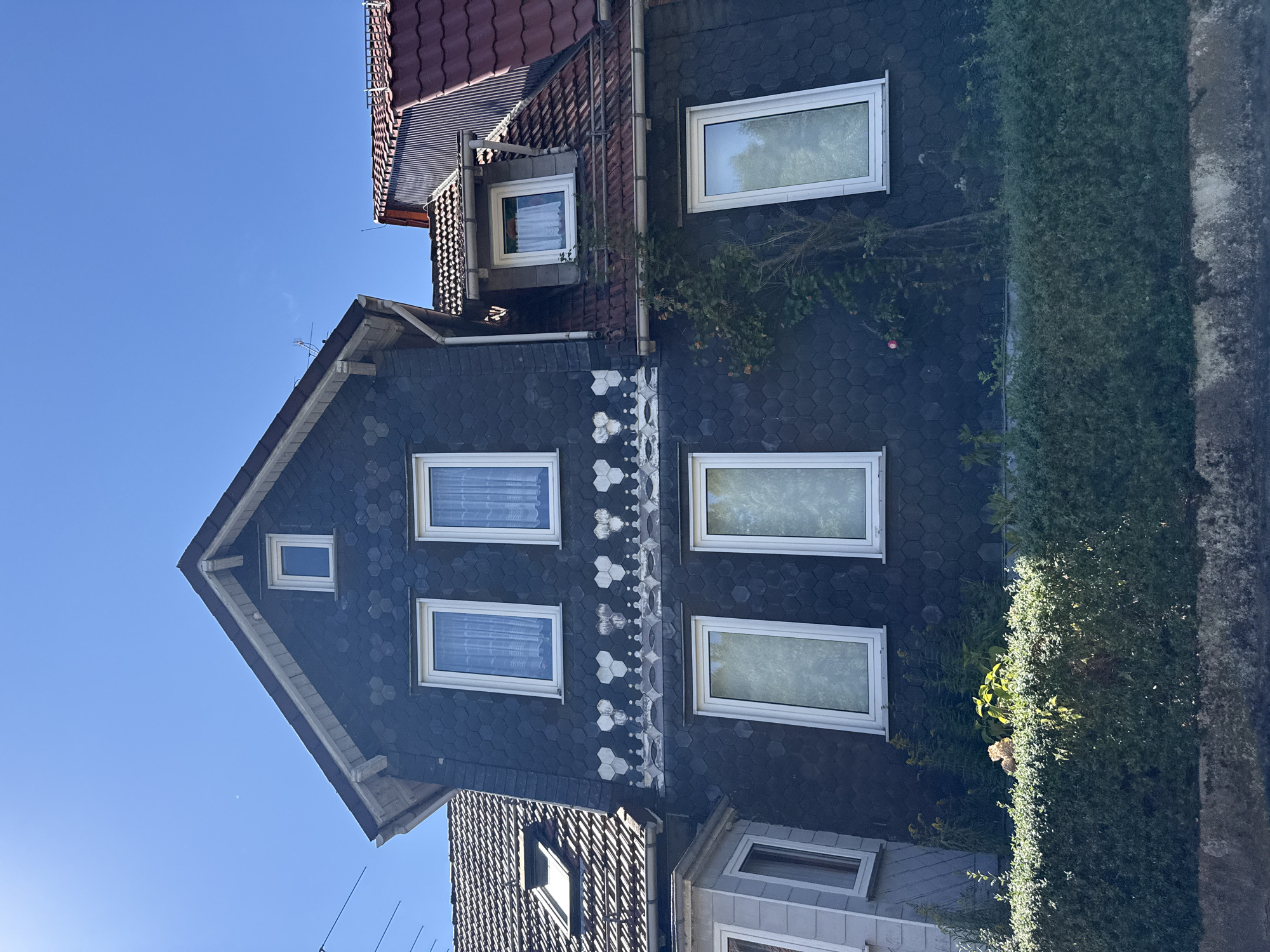 A dark blue, hexagonally-tiled house with several windows and a red tiled roof stands under a clear blue sky. The house has white trim around the windows and a decorative white band across the upper facade with what appear to be white heart shapes. A green hedge runs along the bottom of the image in front of the house, with some taller plants and a rose bush growing behind it. The scene is likely located in Bad Sachsa, Germany, based on the architectural style and the general appearance of the building. There are no people or animals visible in the image.