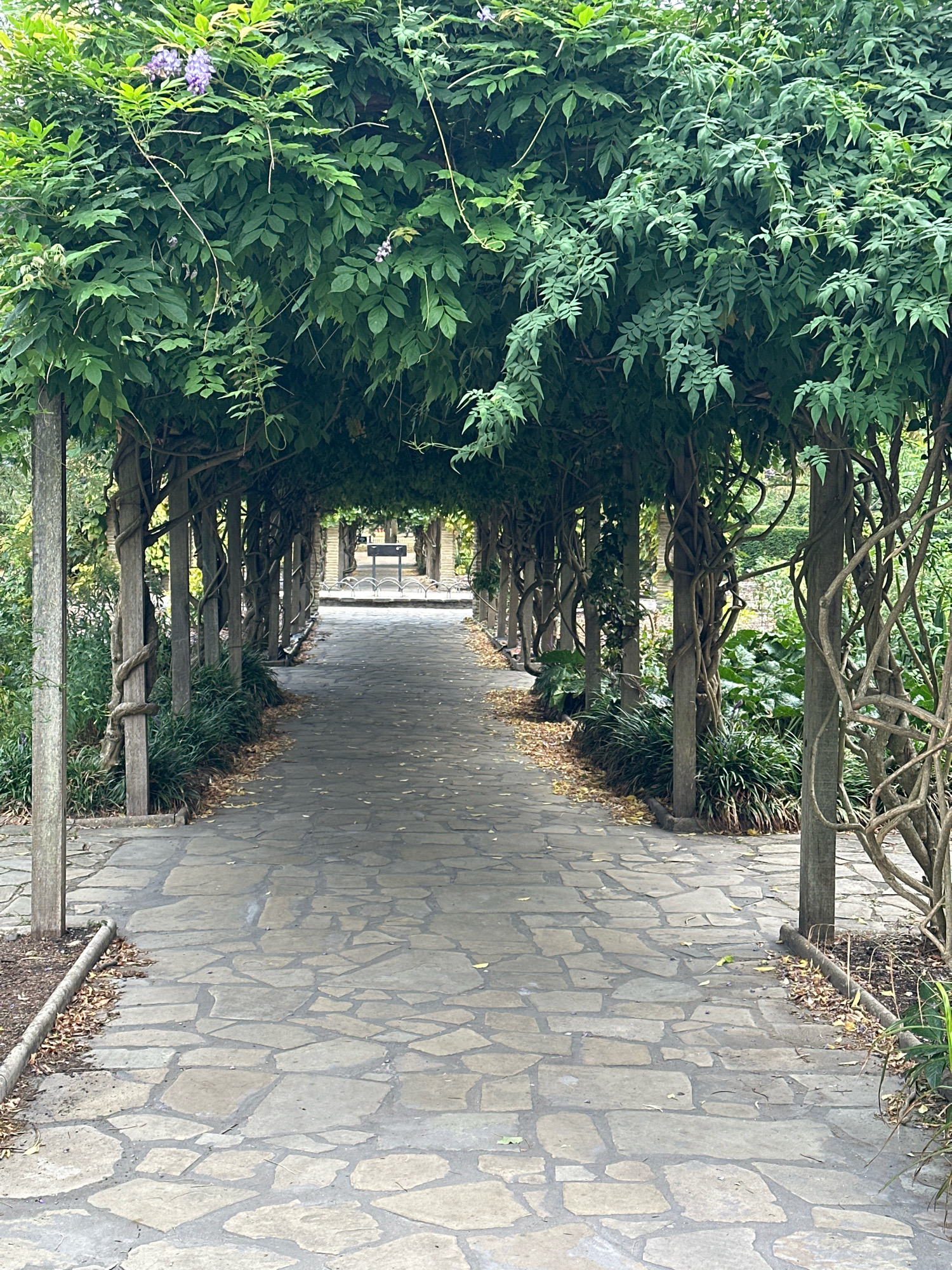 The image depicts a stone pathway leading through an arched walkway covered in green foliage and vines. The pathway is paved with irregular-shaped flagstones. The walkway is supported by wooden posts, with the vines and foliage growing over and around them, creating a natural canopy. In the distance, at the end of the walkway, a bench and a low metal fence are visible. The surrounding environment appears to be a garden or park, with lush greenery and some scattered leaves on the ground. The lighting suggests it is daytime, with overcast conditions. There are no people visible in the image. The scene appears to be from Kew Gardens in London, United Kingdom, a renowned botanical garden.